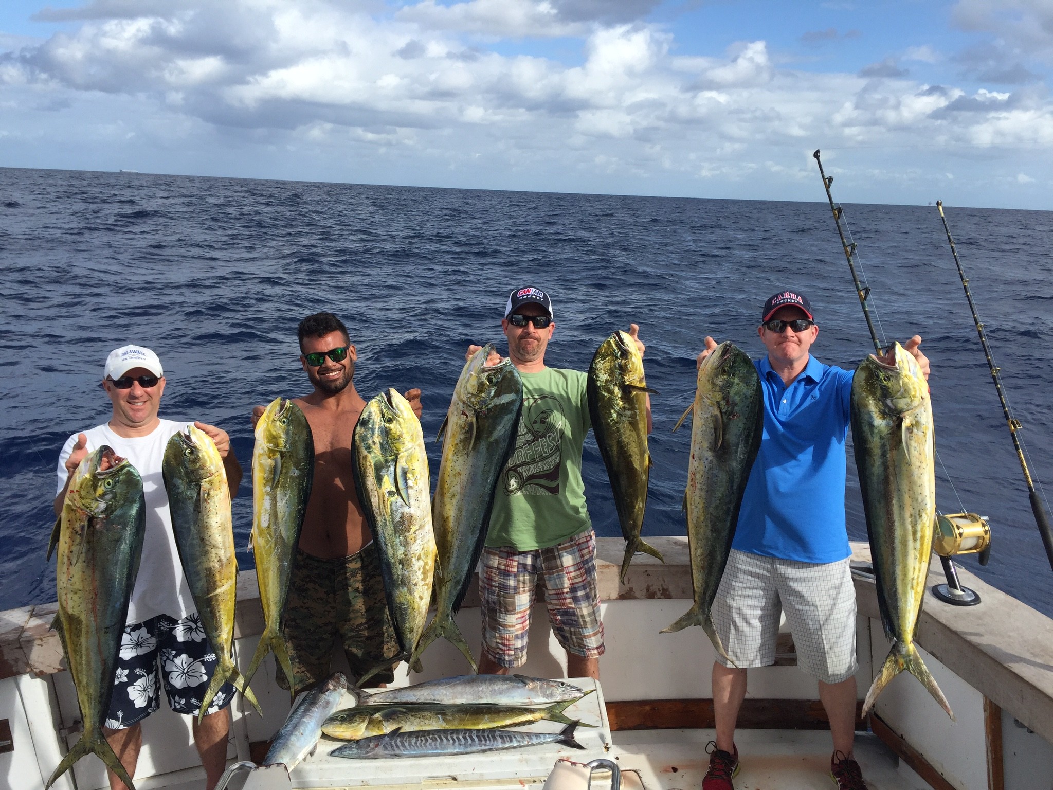 2048x1536 Lots of dplphin caught on our sportfishing charter