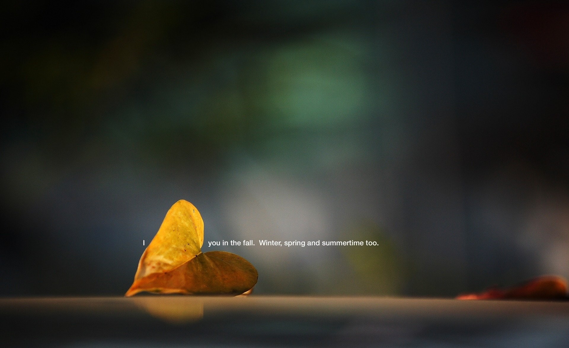 1920x1176 close up plant fallen sheet photo inscription i you in the fall. winter  spring and