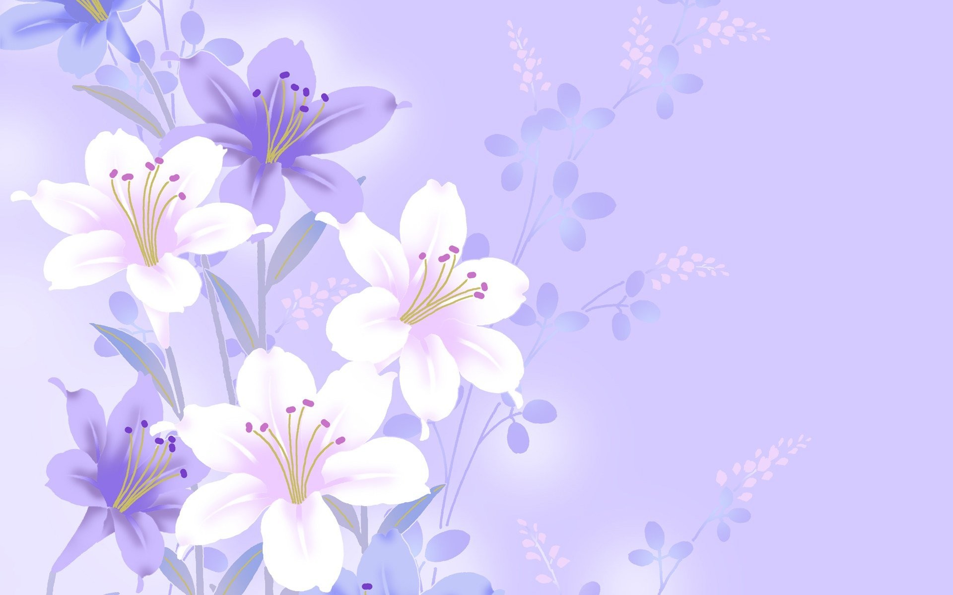 1920x1200 Purple Flower White Background 894970