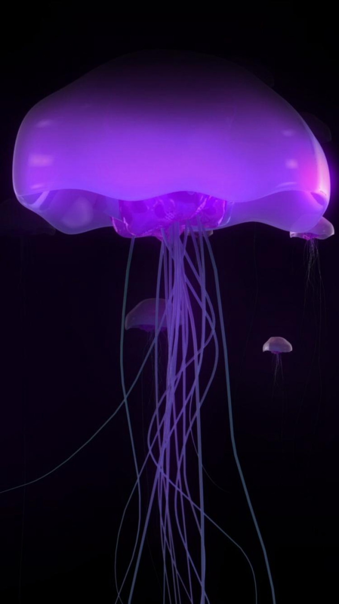 1080x1920 Ocean Undersea Transparent Luminous Jellyfish #iPhone #6 #plus #wallpaper.  Jelly FishPurple RainWallpaper ...