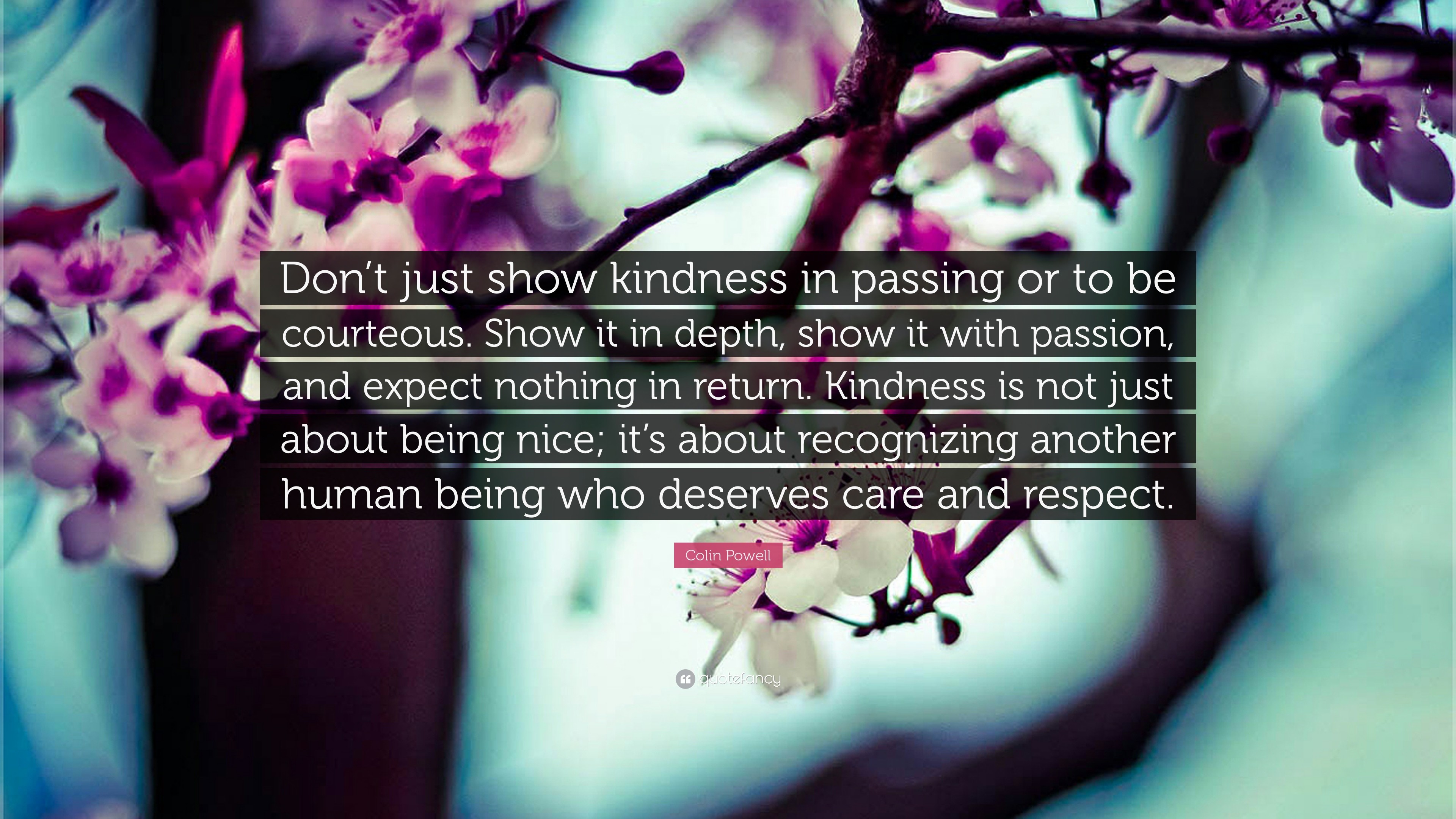 3840x2160 Kindness Quotes: “Don't just show kindness in passing or to be courteous