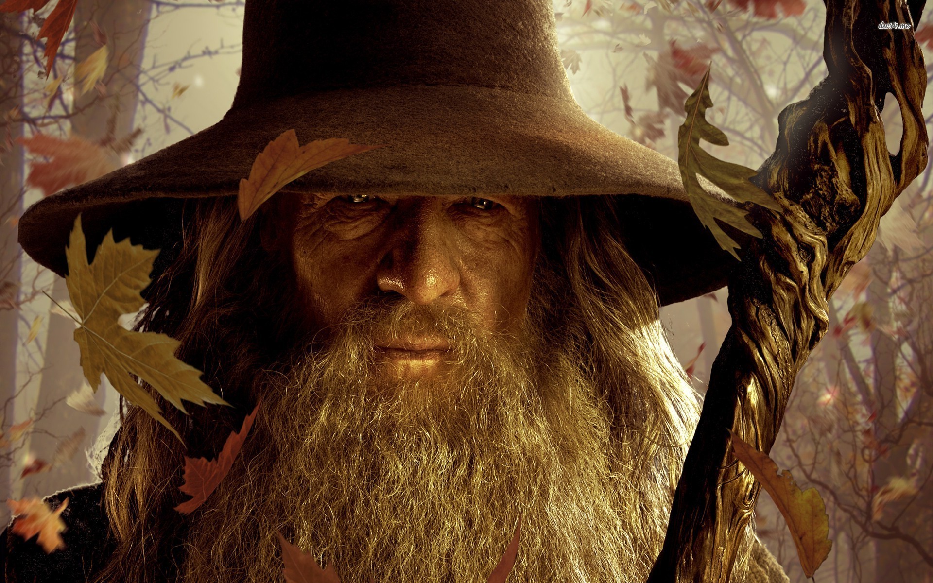 1920x1200 ... Gandalf - The Lord of the Rings wallpaper  ...