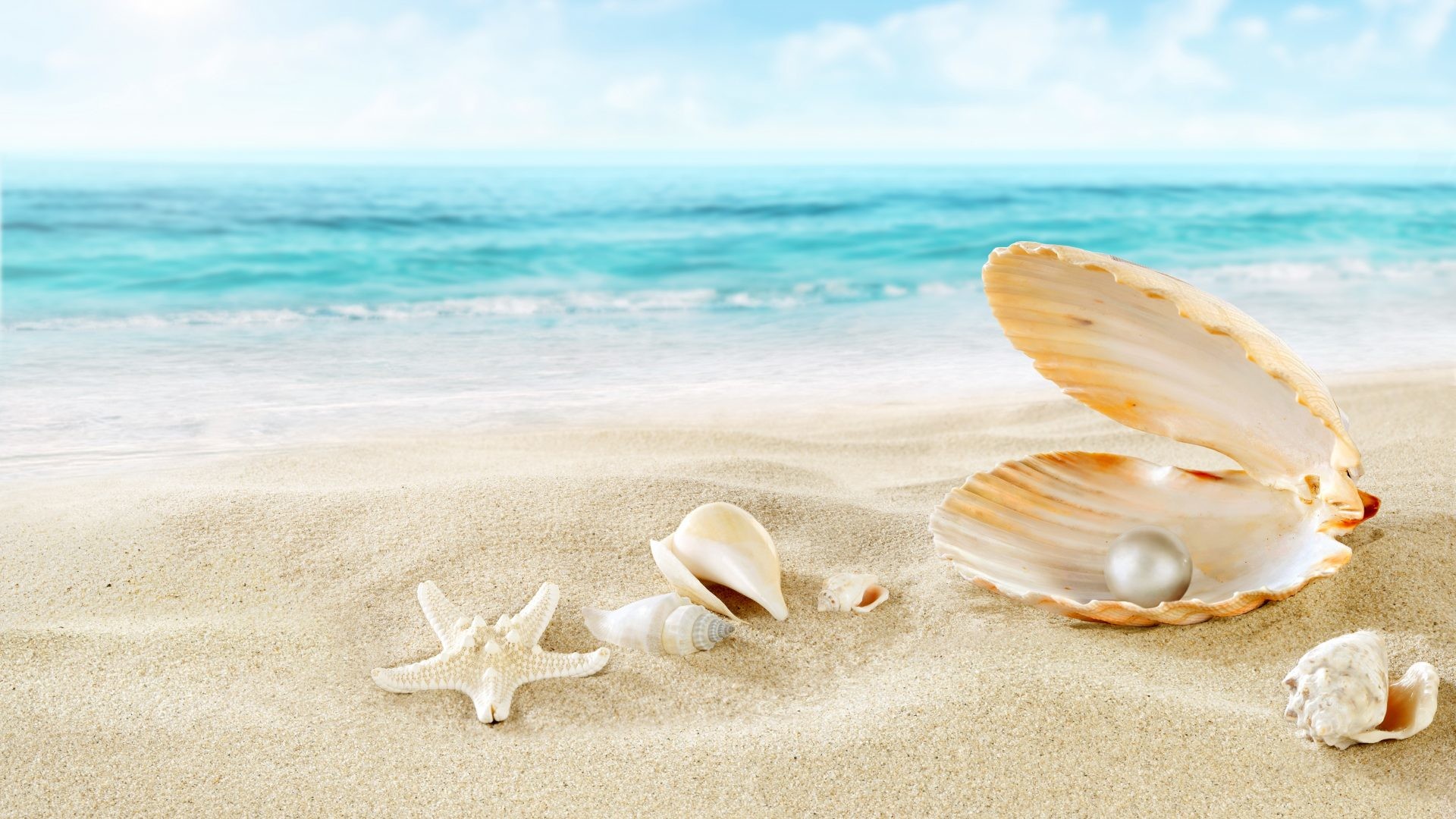1920x1080 #773300 Color - Seashells Shells Sea Beach Sand Perl 2k Wallpaper for HD 16: