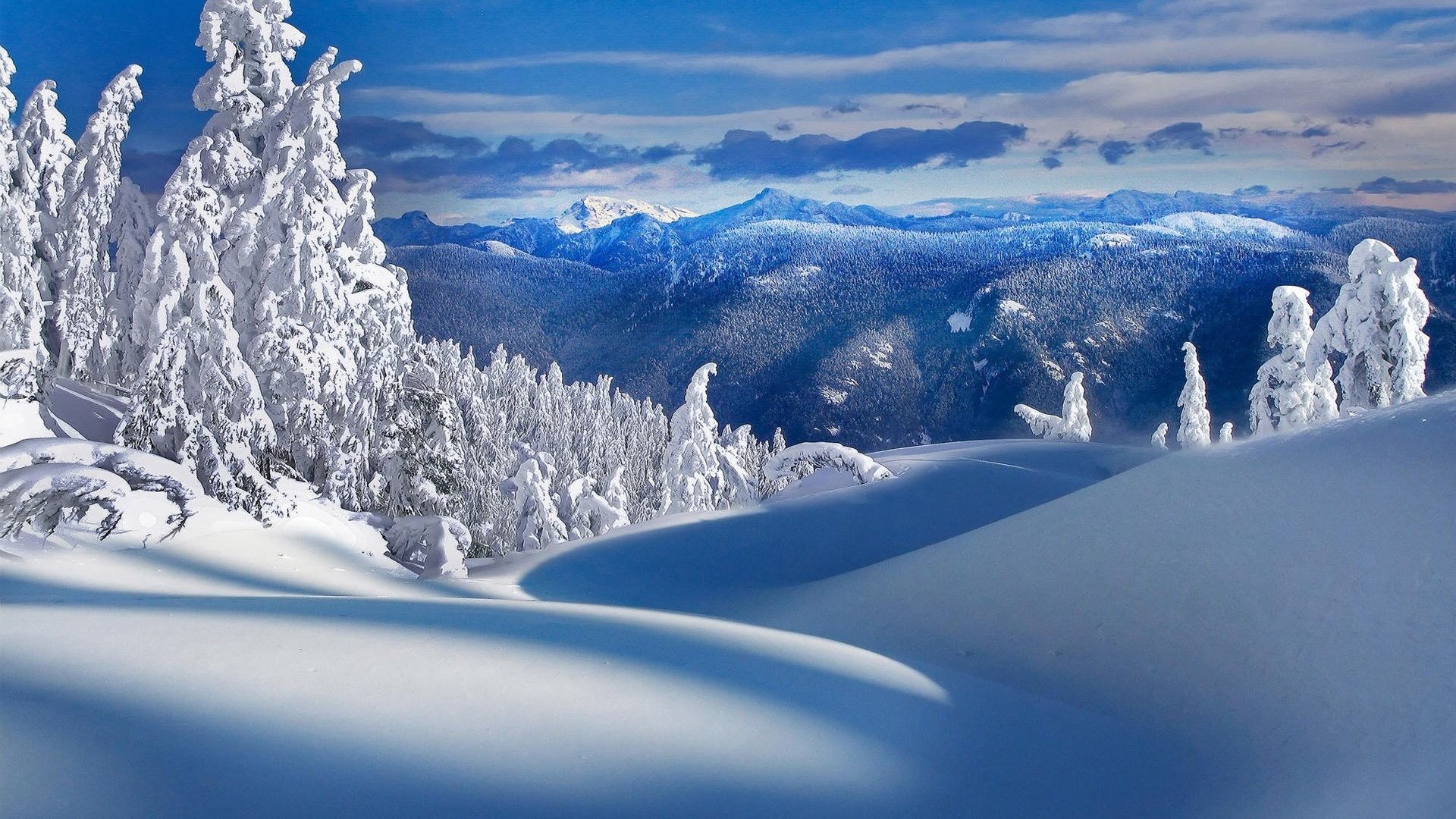 1920x1080 Nature Snow Mountains Winter Trees Desktop Wallpaper Hd Full Screen  Download - 1920x1200