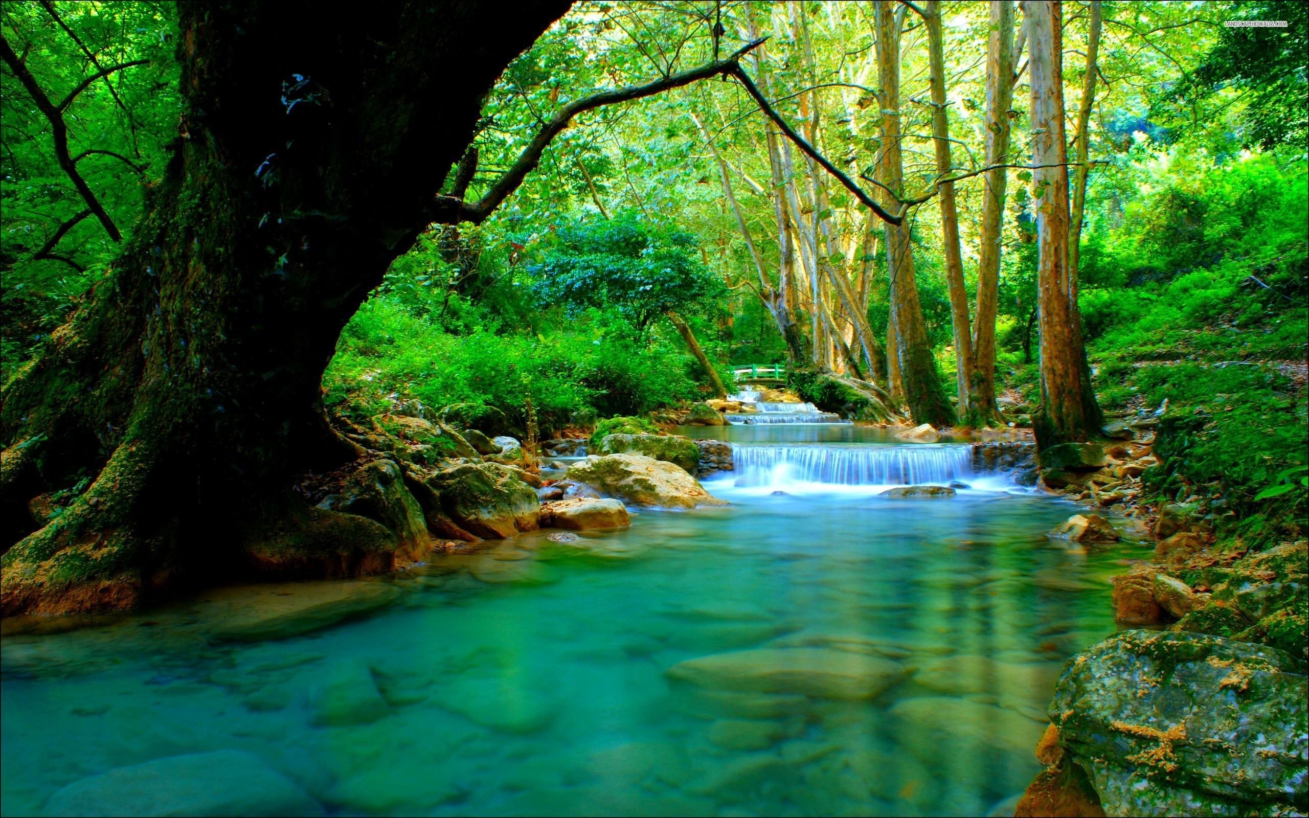 2560x1600 Beautiful Forest River Falling On The Rocks