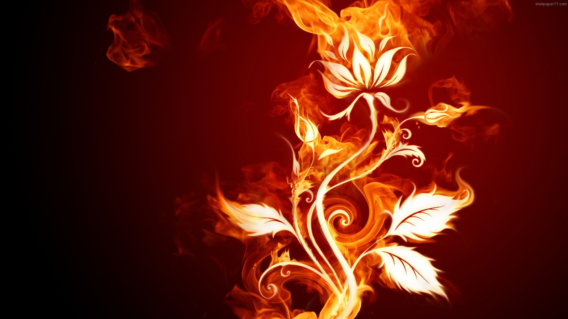1920x1080 Wallpaper Of Fire Flower