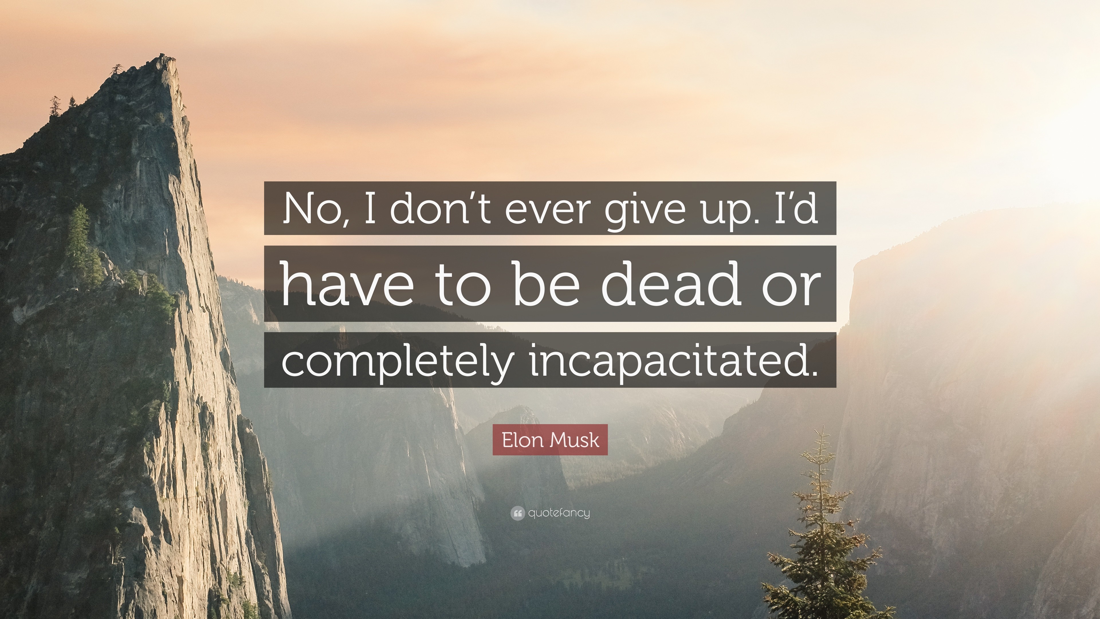 3840x2160 Elon Musk Quote: “No, I don't ever give up. I