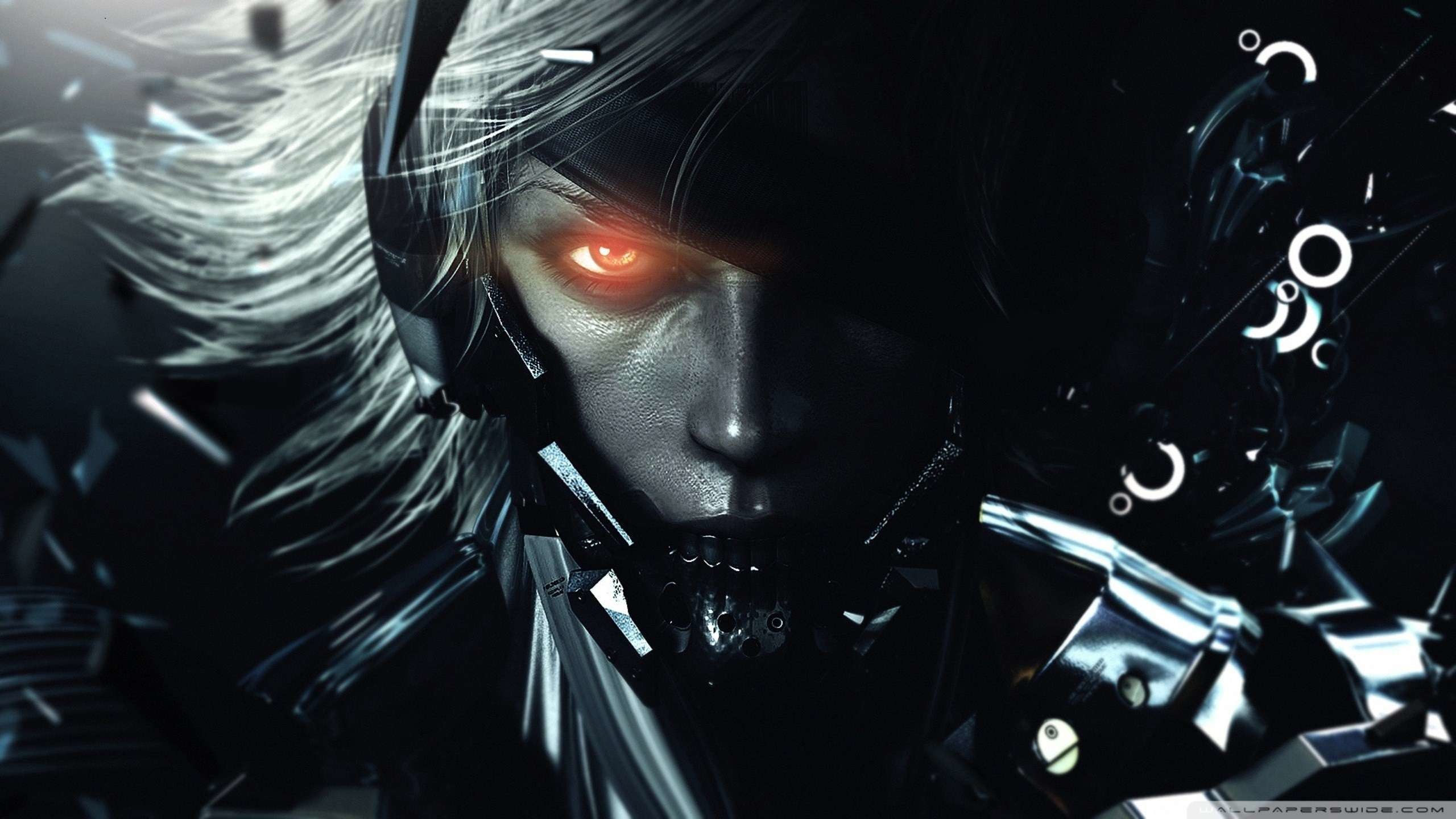 2560x1440 Metal Gear Rising Raiden wallpaper