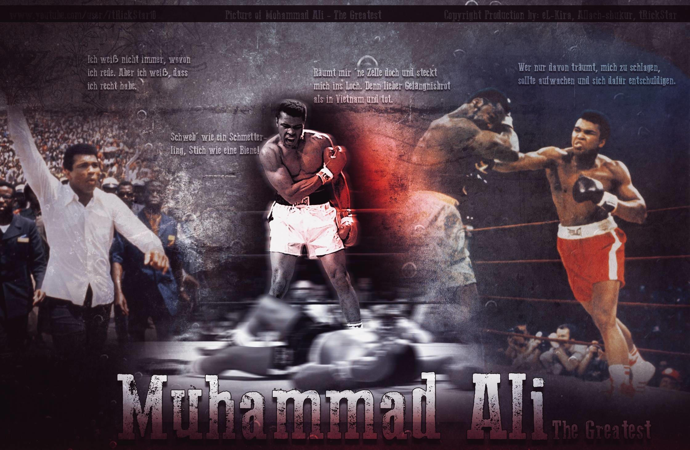 2240x1460 Muhammad Ali 2014 Wallpaper Wide or HD | Male Celebrities Wallpapers