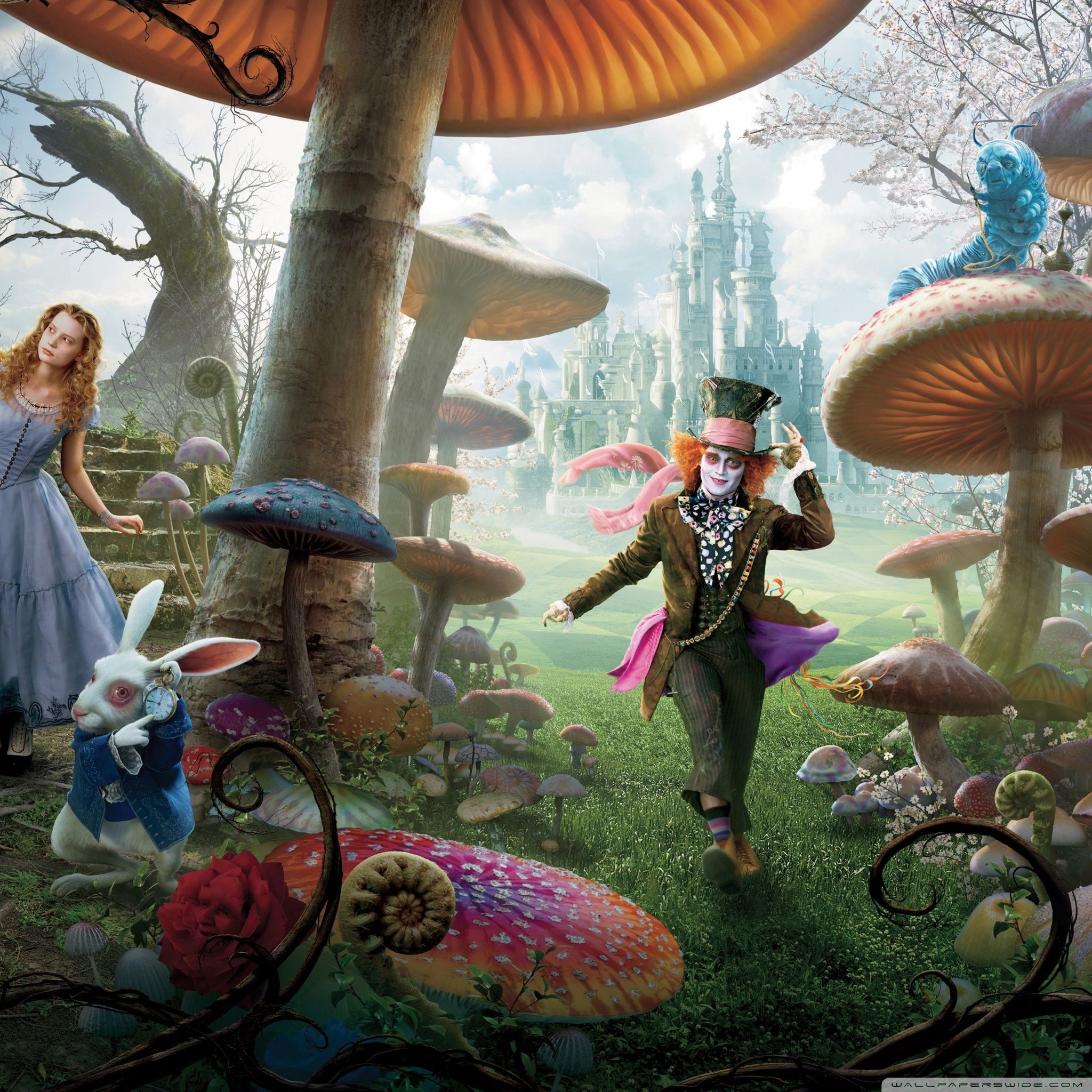 2048x2048 Alice In Wonderland Movie 2010 â¤ 4K HD Desktop Wallpaper for 4K .