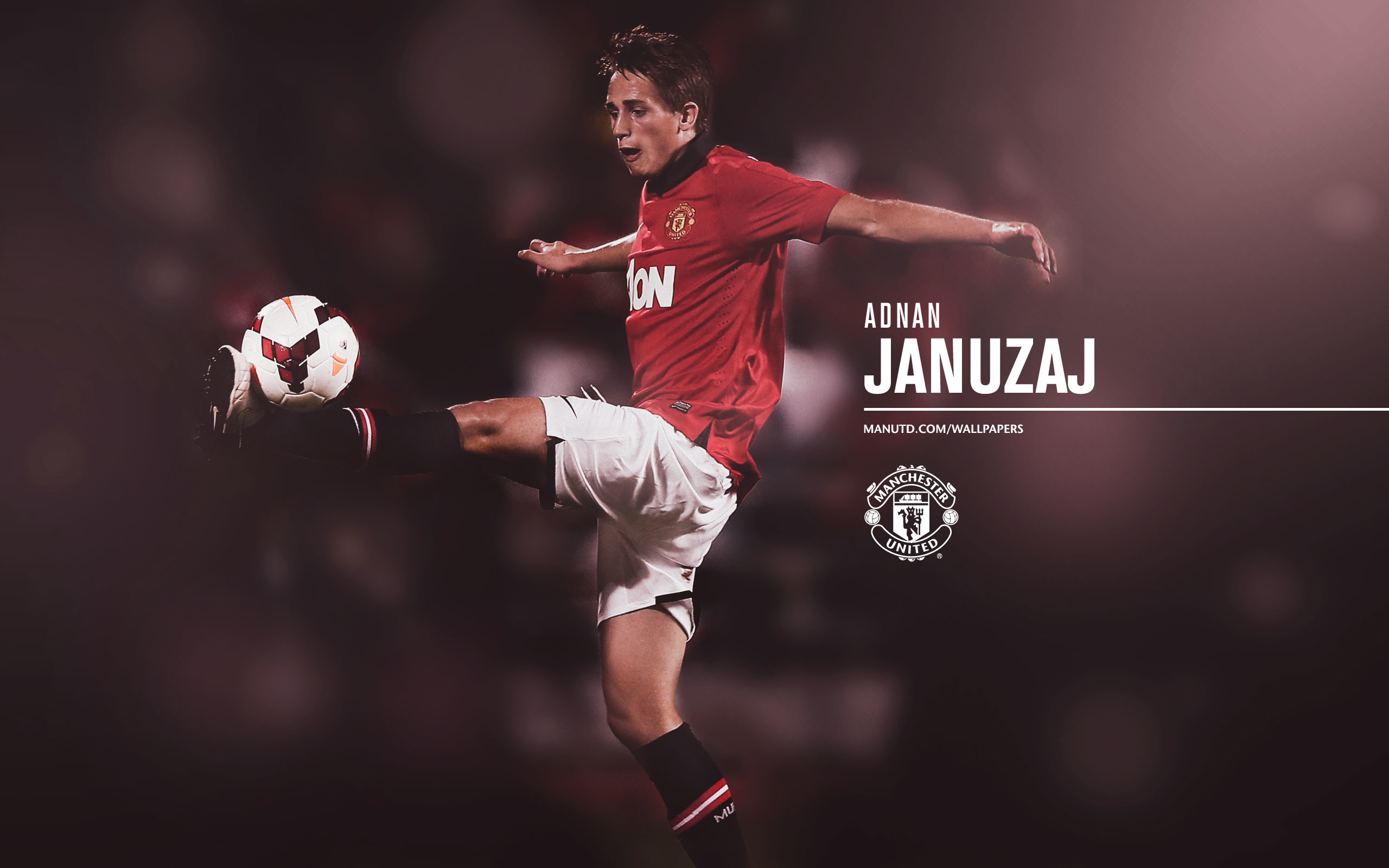 2560x1600 Manchester United Players Wallpaper 2013-2014 44 Januzaj