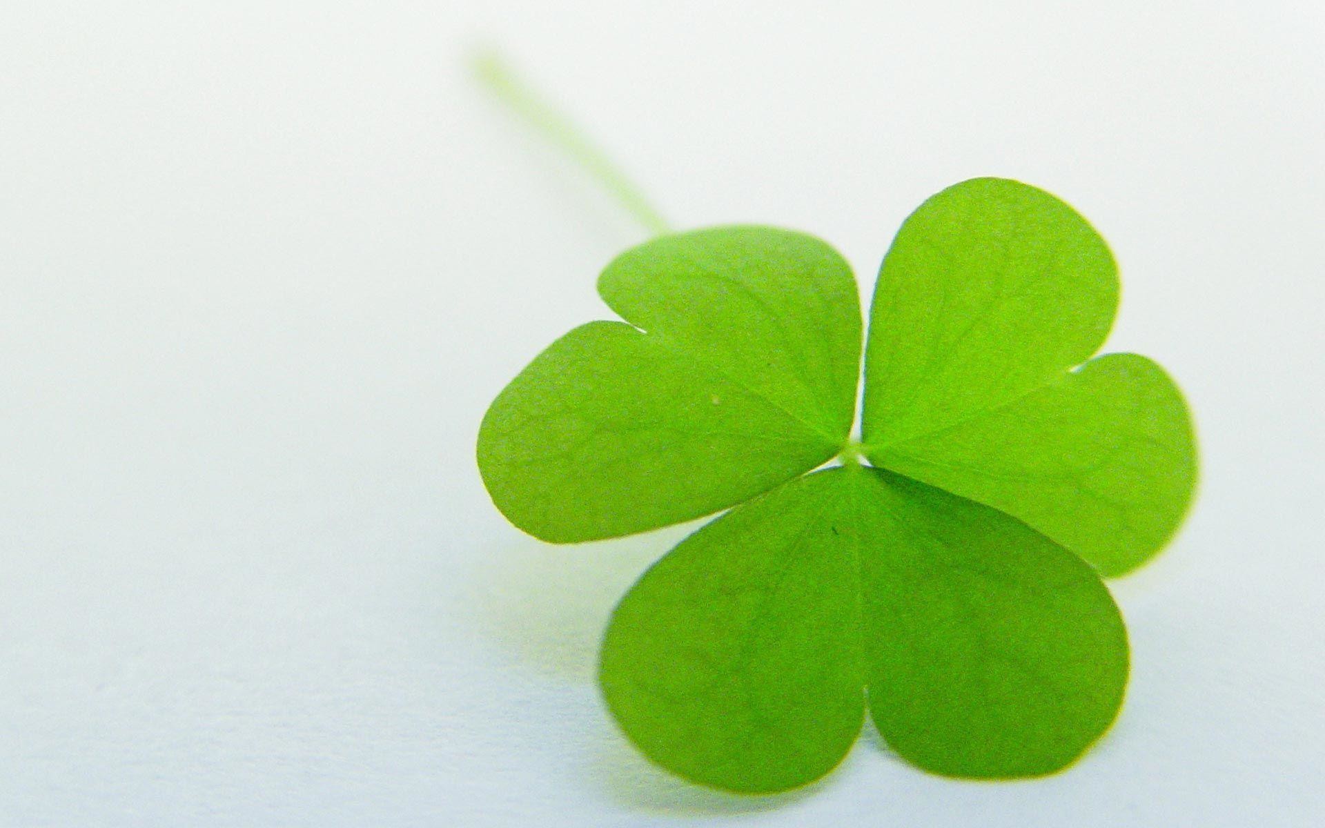 1920x1200 Four Leaf Clover Wallpapers - Wallpaper Cave