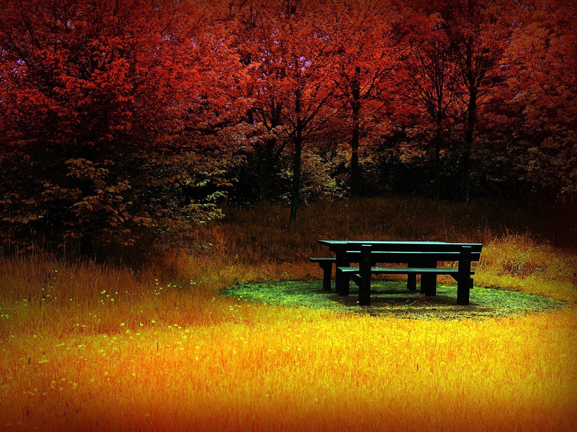 1920x1440 Autumn Best Remember HD Wallpapers HD Wallpapers & Backgrounds au