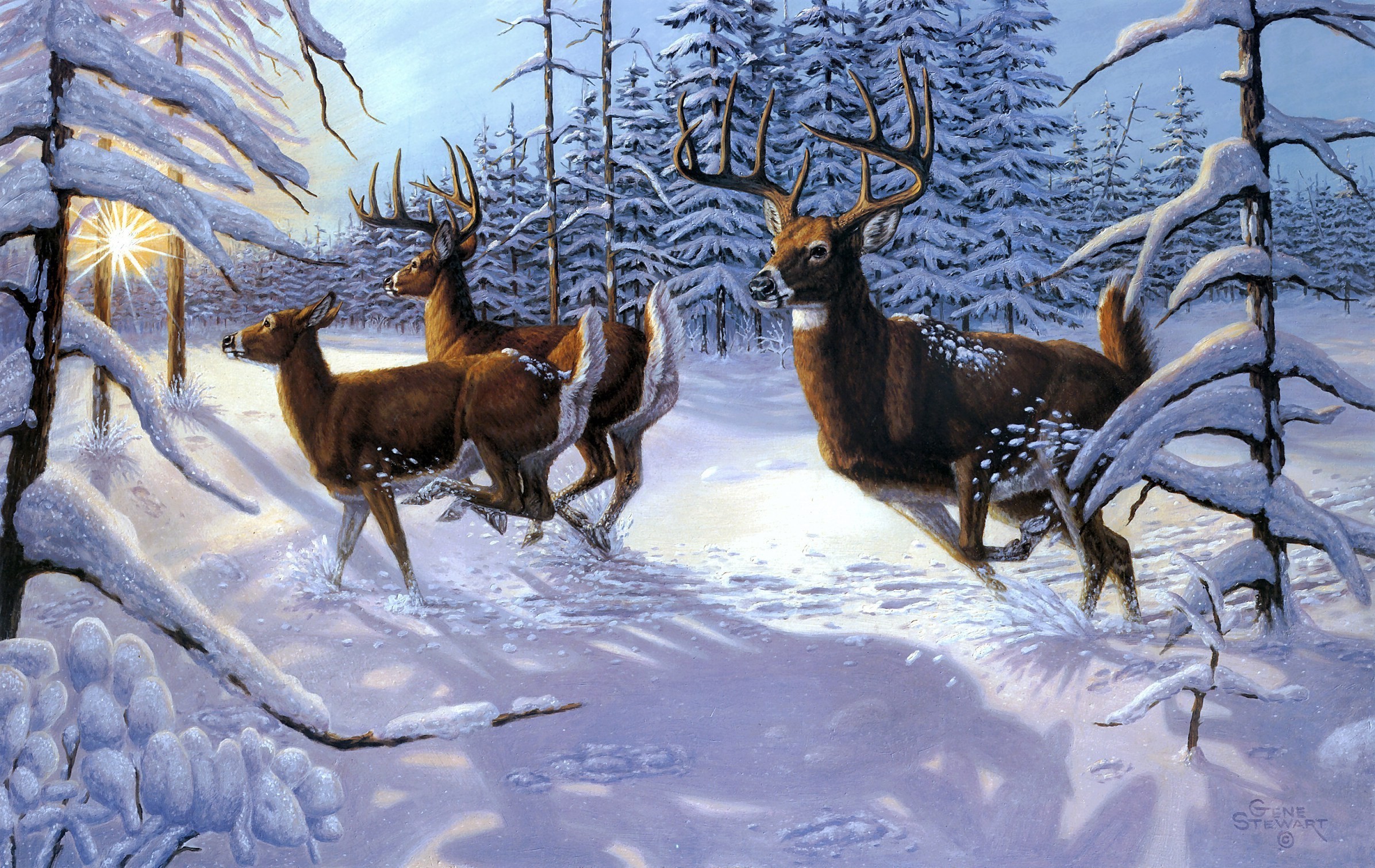 2392x1511 ... christmas deer snow wallpaper - photo #7 ...