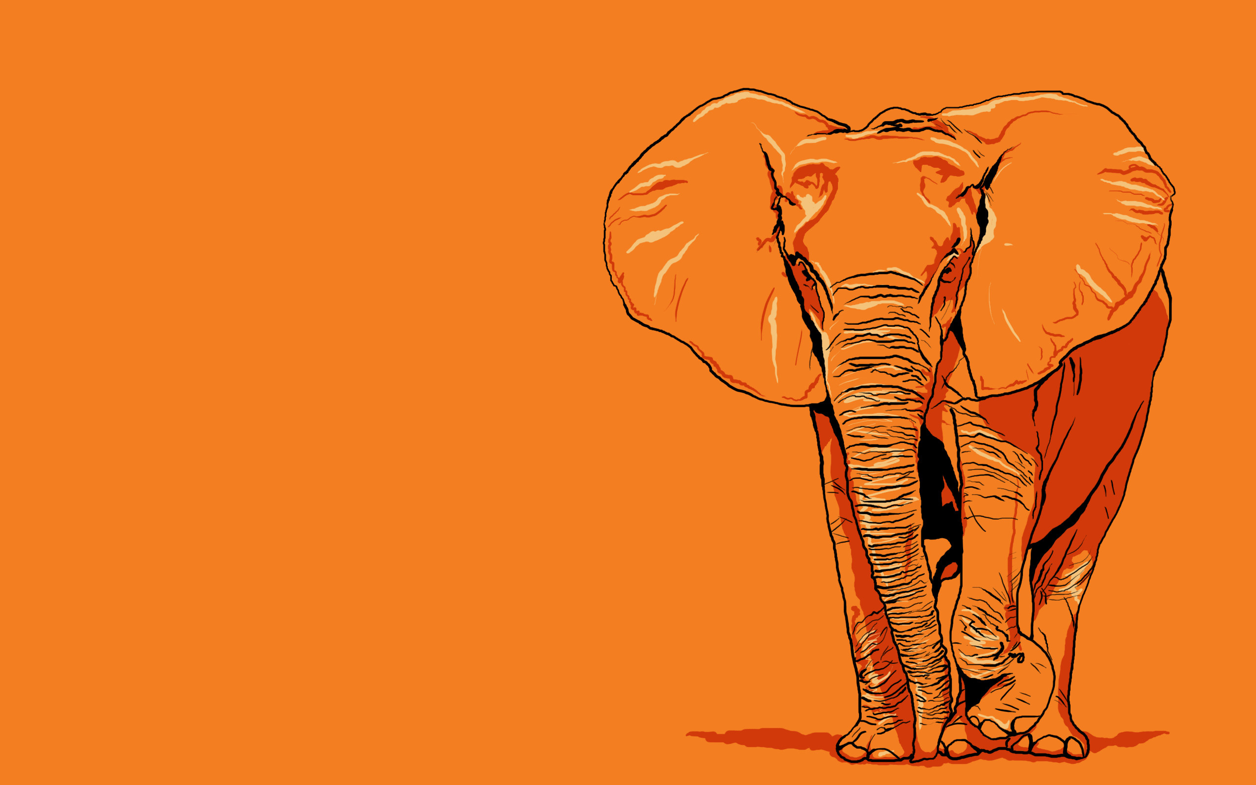 2560x1600 Chameleon elephants High Quality and Resolution desktop wallpaper ...  Elephant BackgroundElephant WallpaperOrange ...