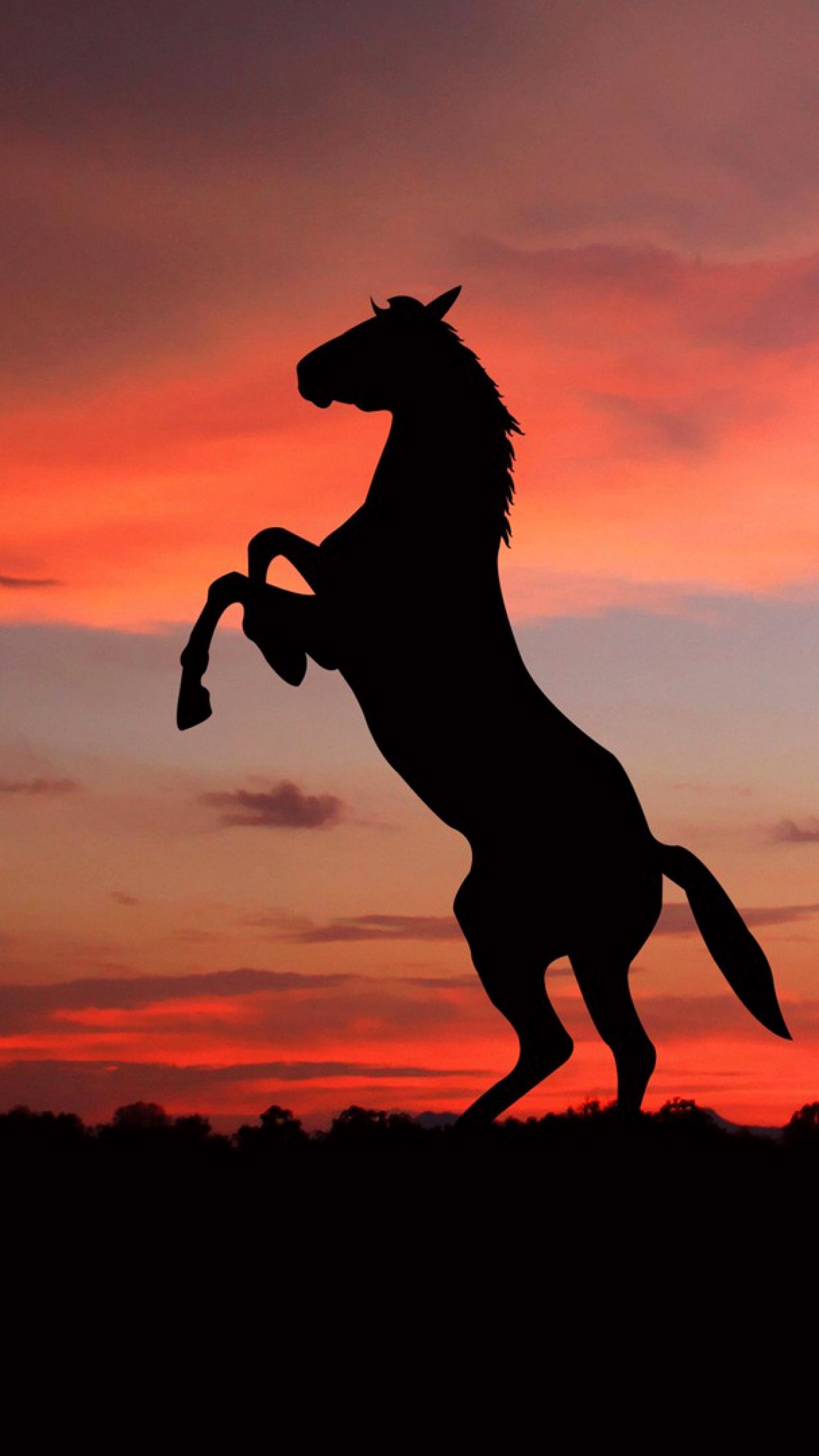 1440x2560 Preview wallpaper horse, silhouette, shadow, sunset 