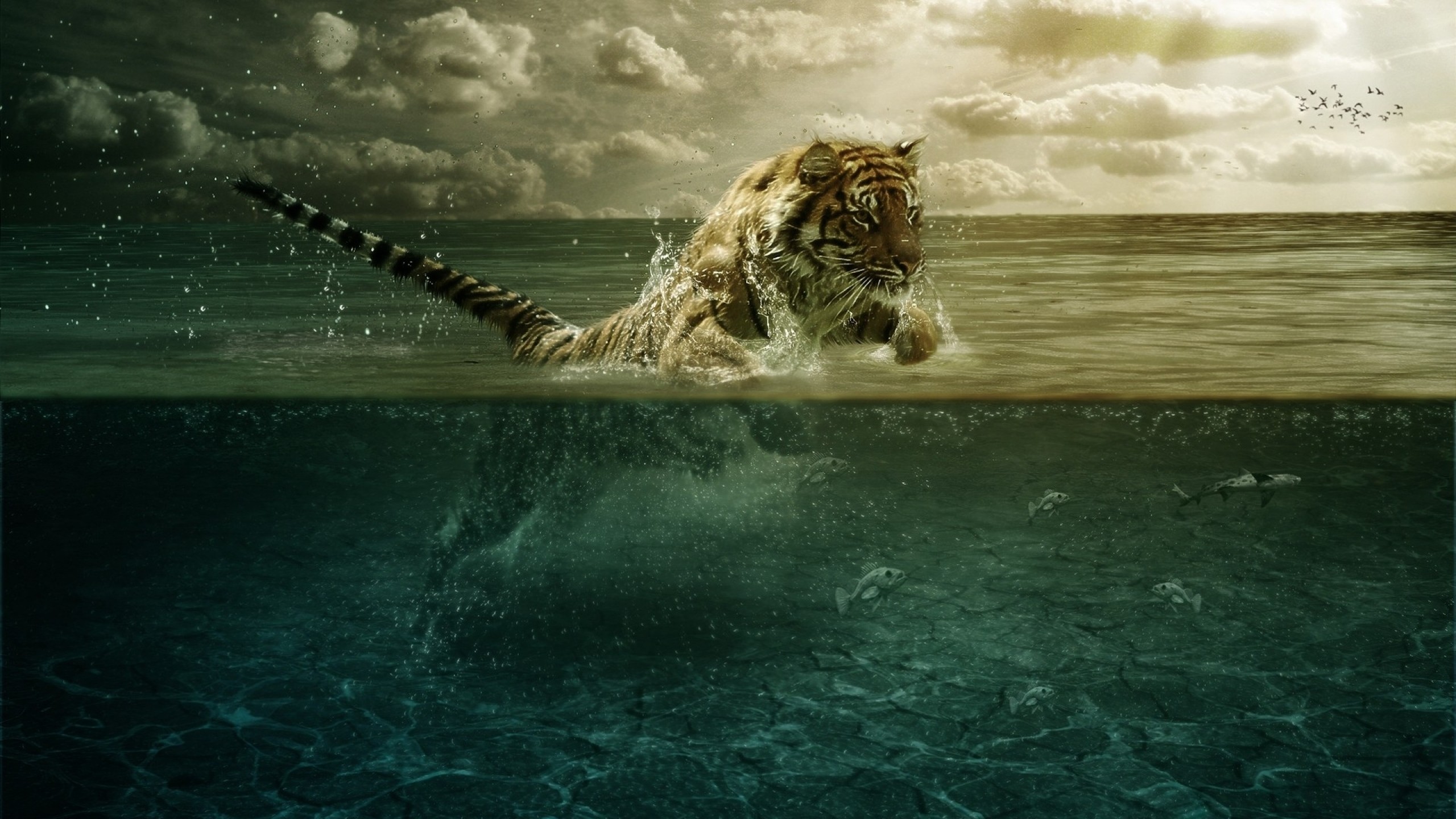 2560x1440 ... Background Mac iMac 27.  Wallpaper tiger, jump, sea,  underwater, hunting