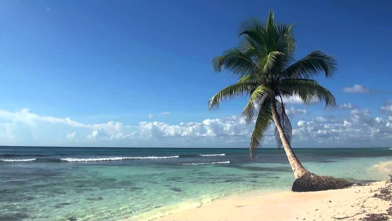 1920x1080 â¥â¥ Relaxing 3 Hour Video of Tropical Beach with Blue Sky White Sand and  Palm Tree - YouTube