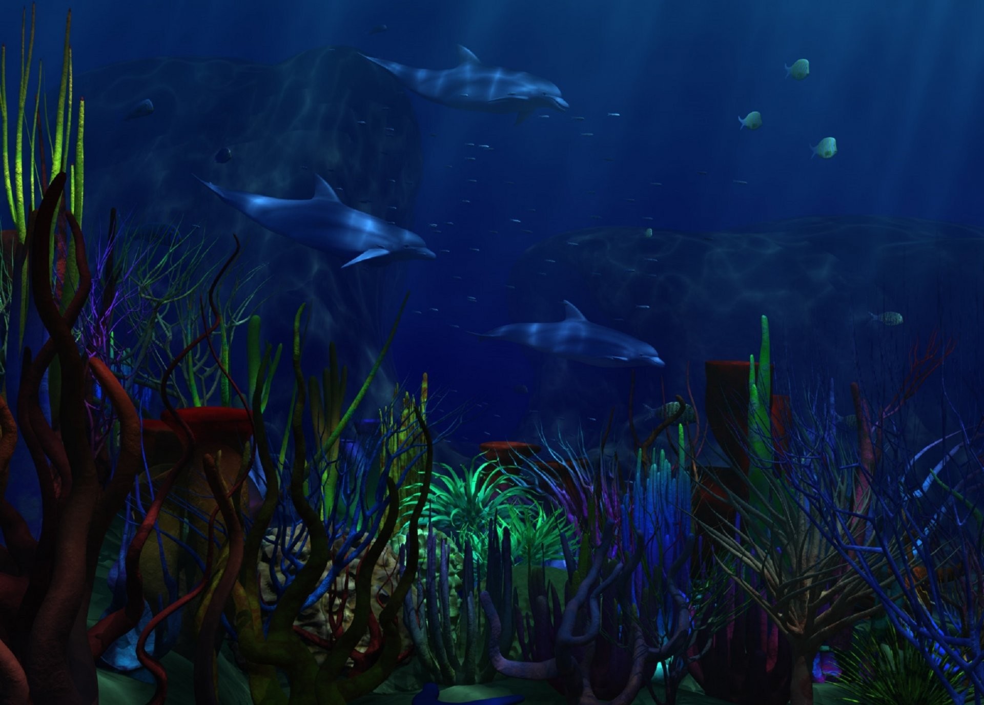 1920x1376 underwater world sea dolphins algae corals . dark blue background .
