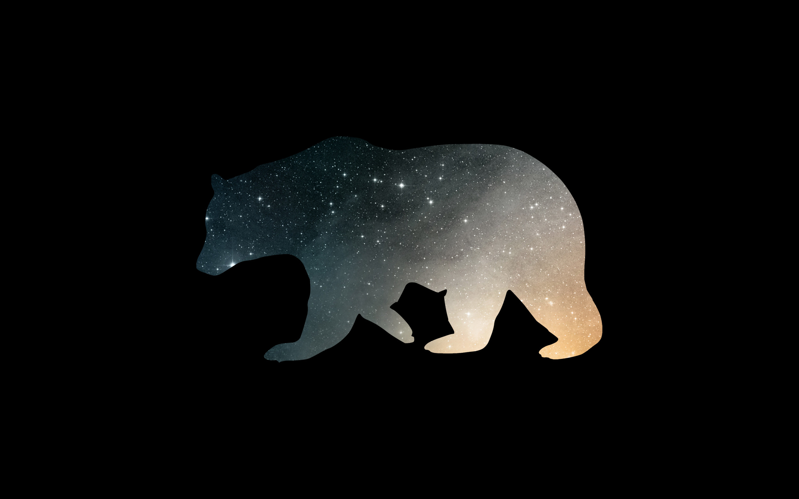 2560x1600 ... Bears Backgrounds Group (74 ) gummy ...