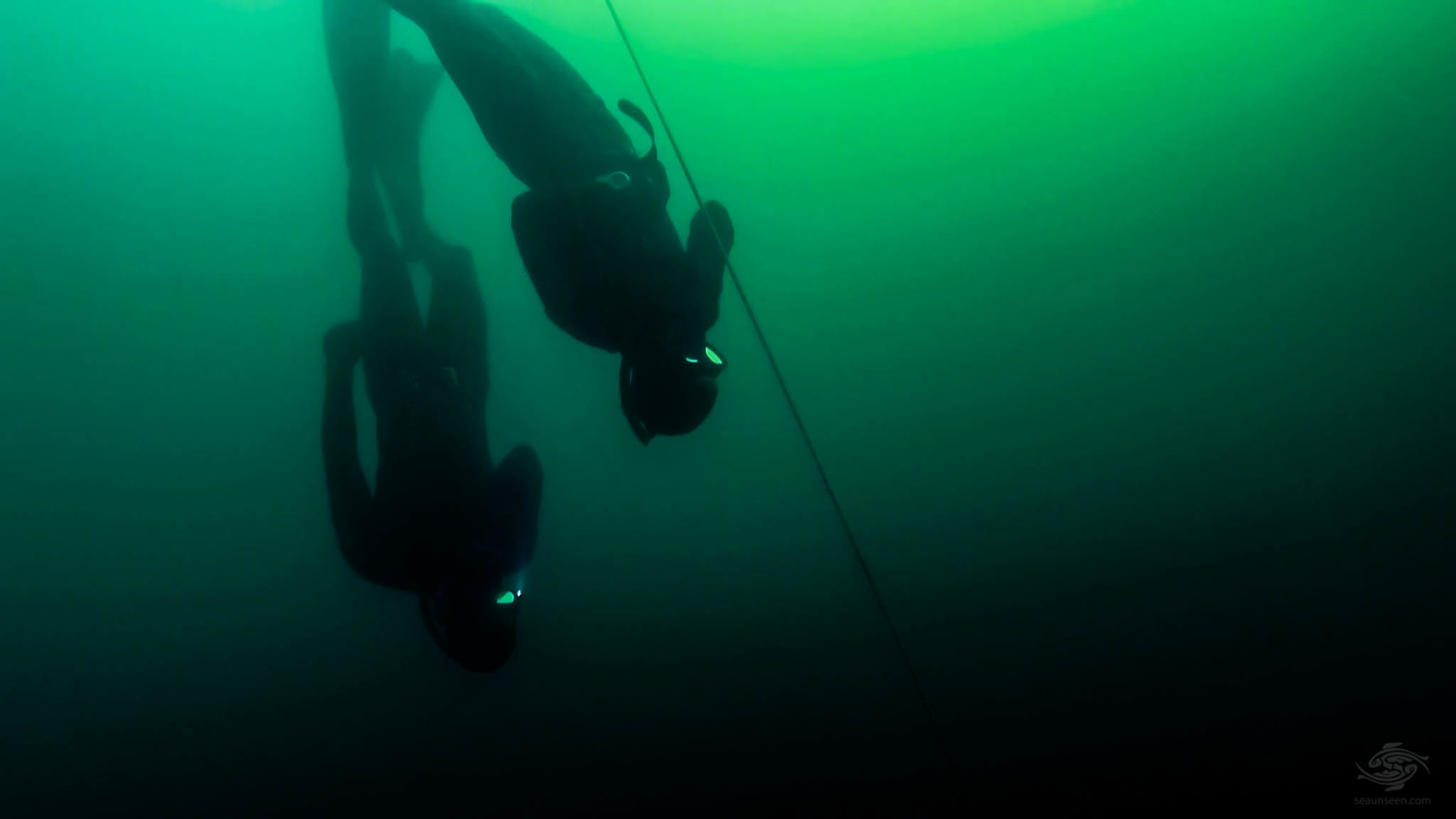 2048x1152 Free-Diving Boston