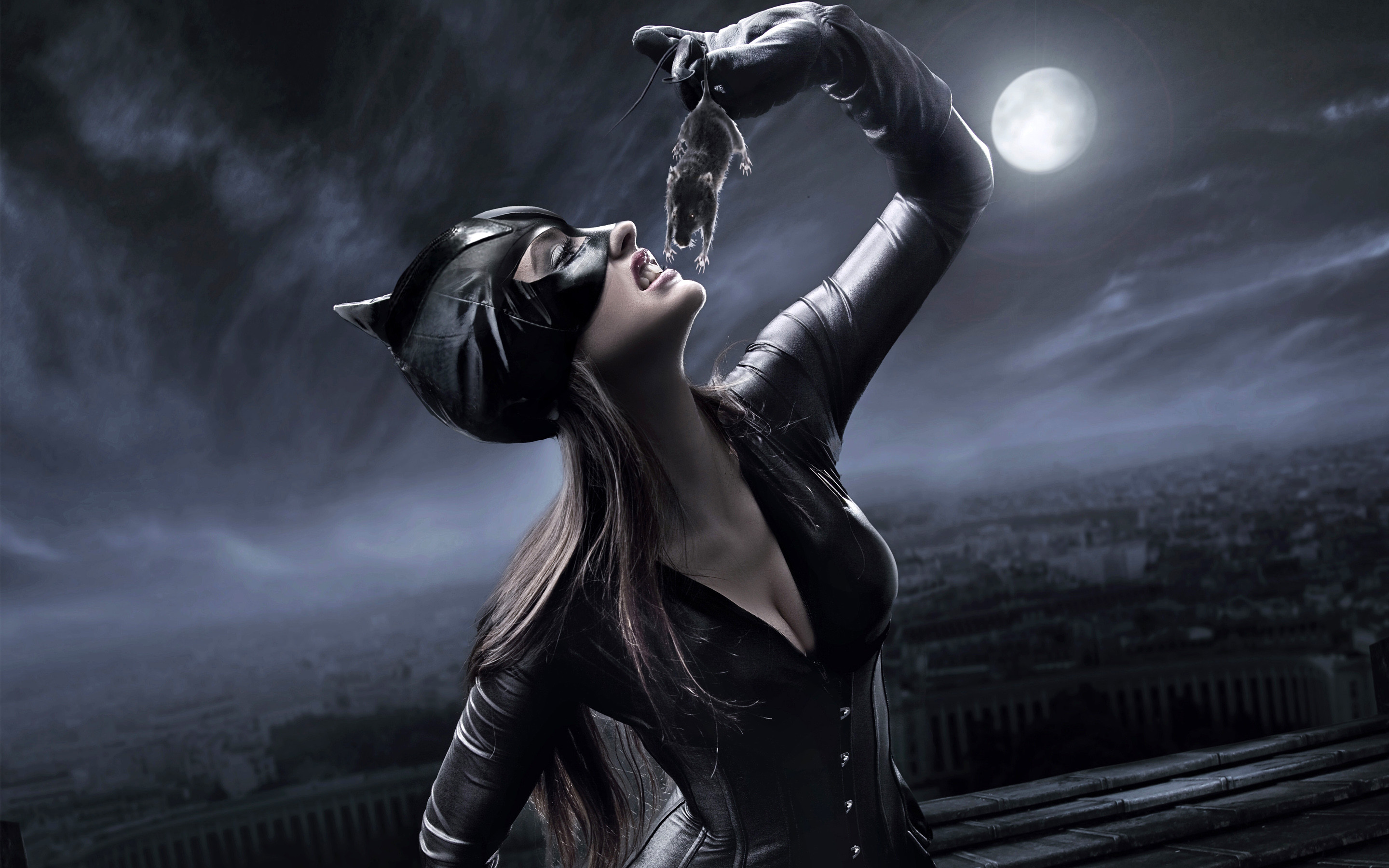 2880x1800 Catwoman Concept