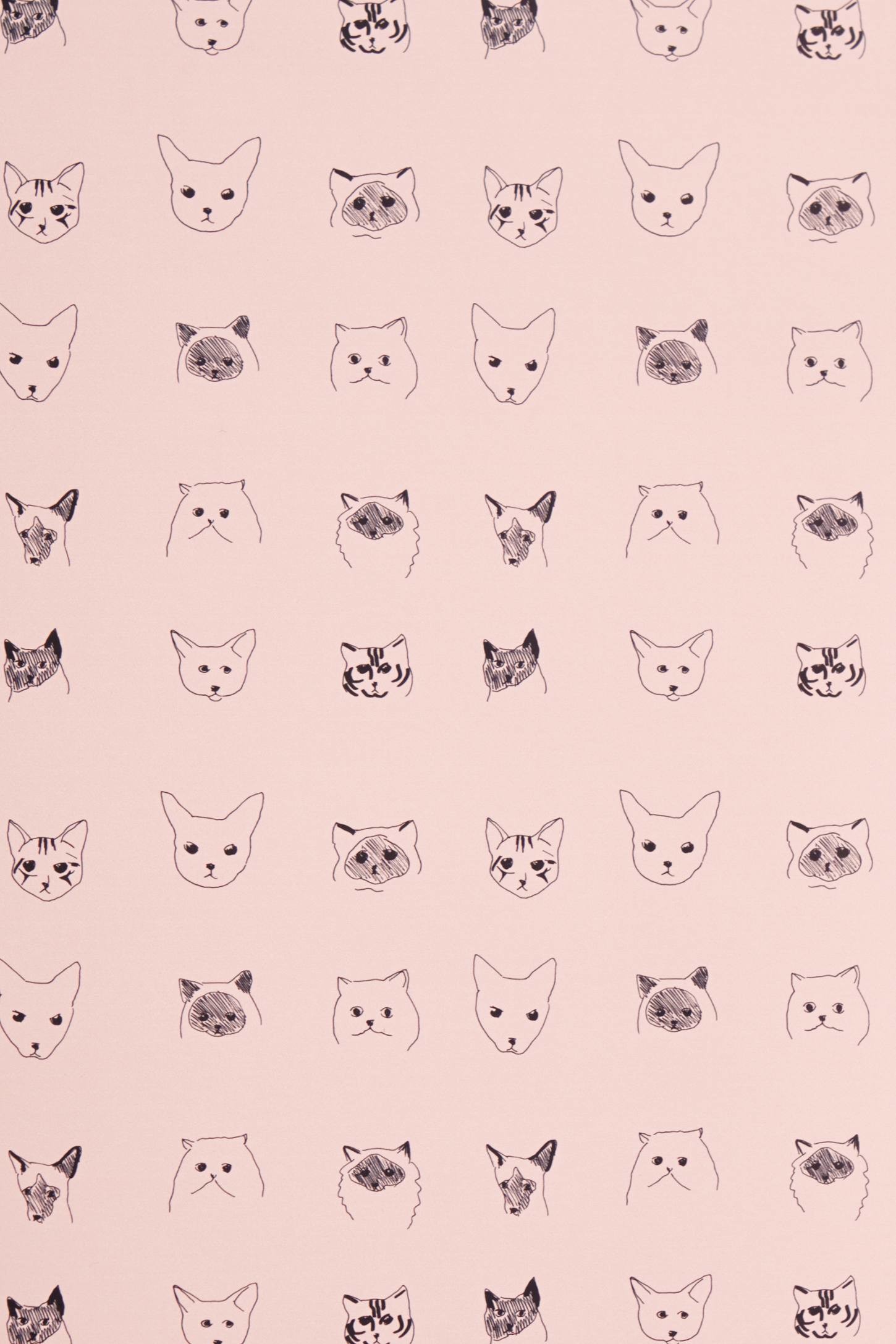 1450x2175 Cat & Dog Wallpaper by Baines & Fricker: too much Crazy Cat Lady?