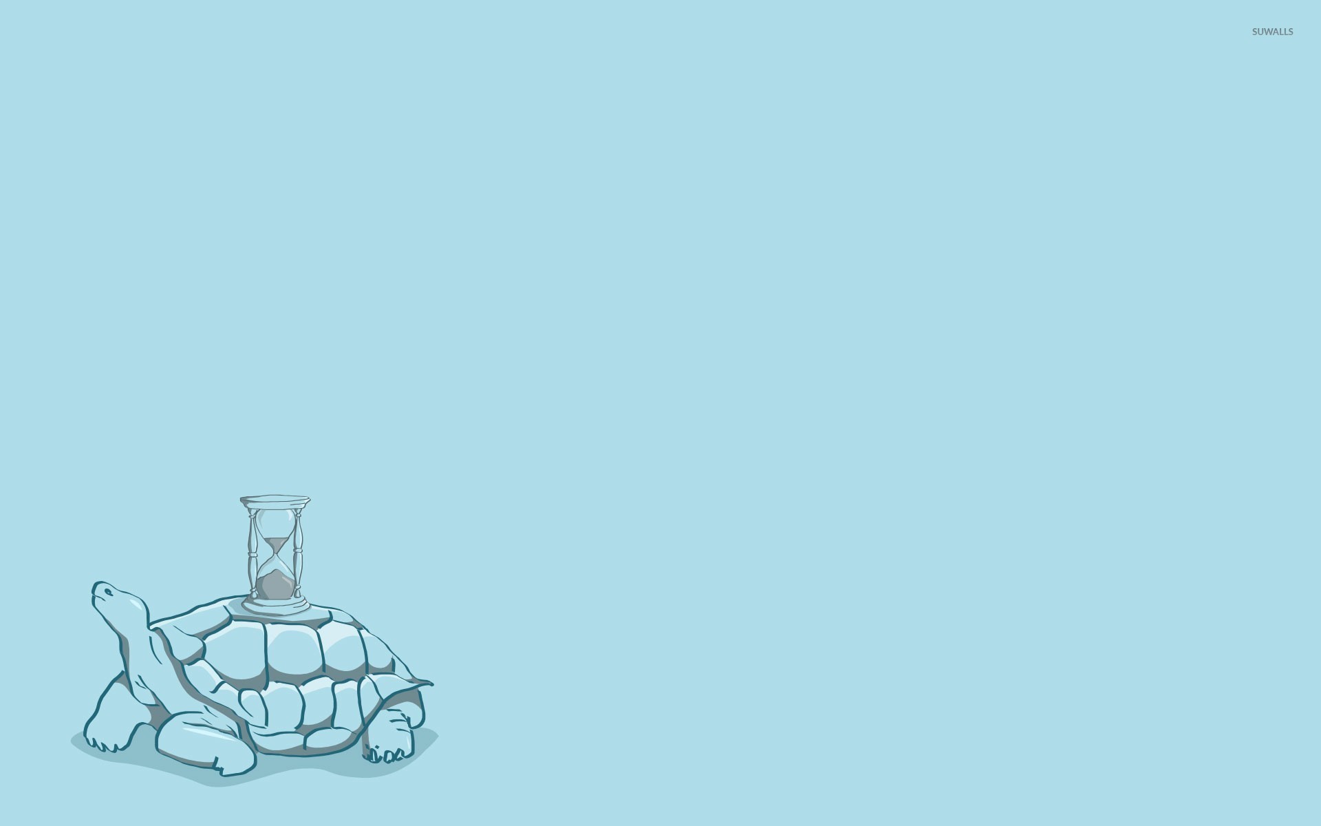 1920x1200 Turtle with a hourglass on its shell wallpaper