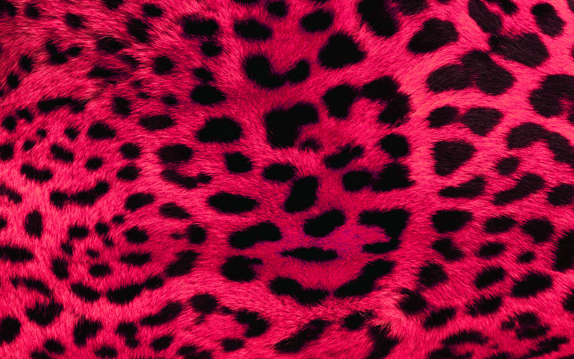 1920x1200  Pink Leopard Print Wallpaper 20506