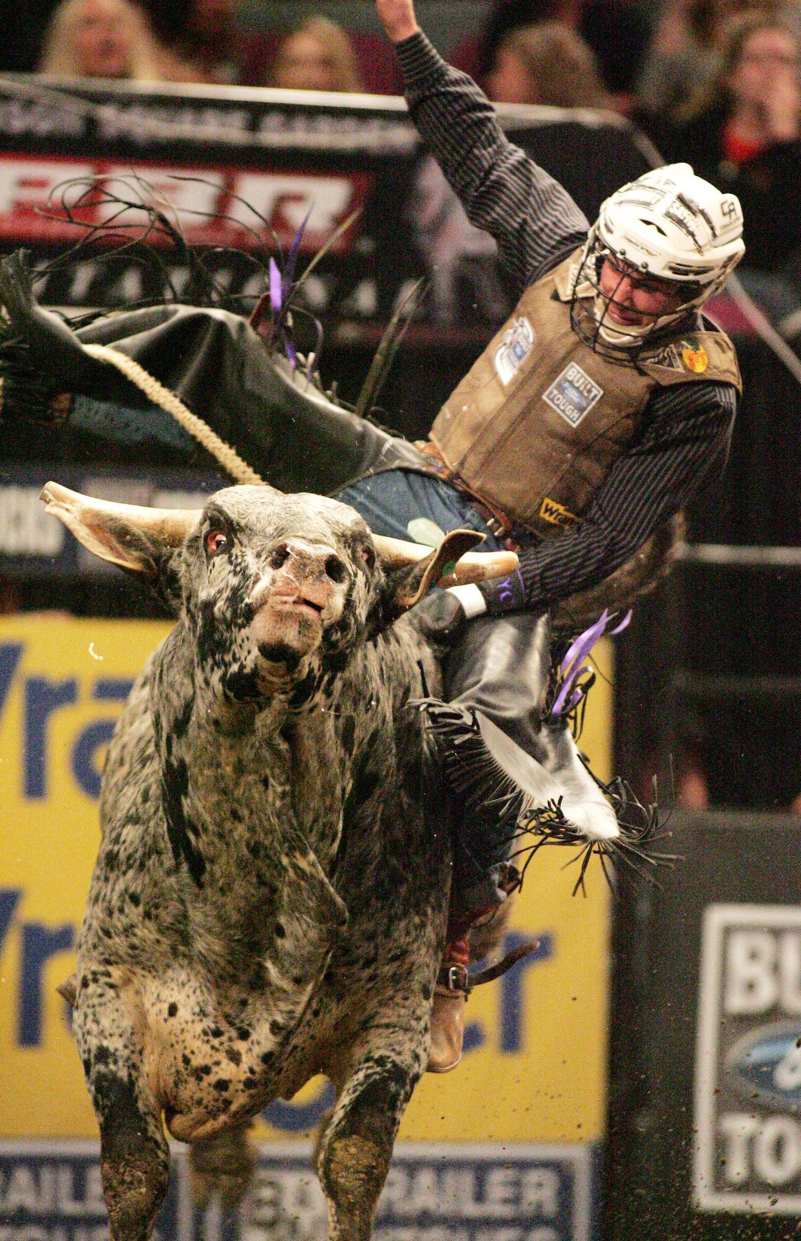 1582x2450 Bull Riding Wallpapers Wallpaper Cave