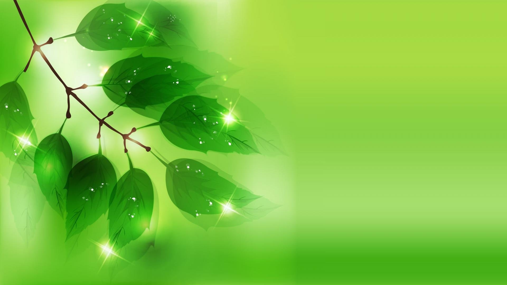 1920x1080 green backgrounds computer wallpapers -#main