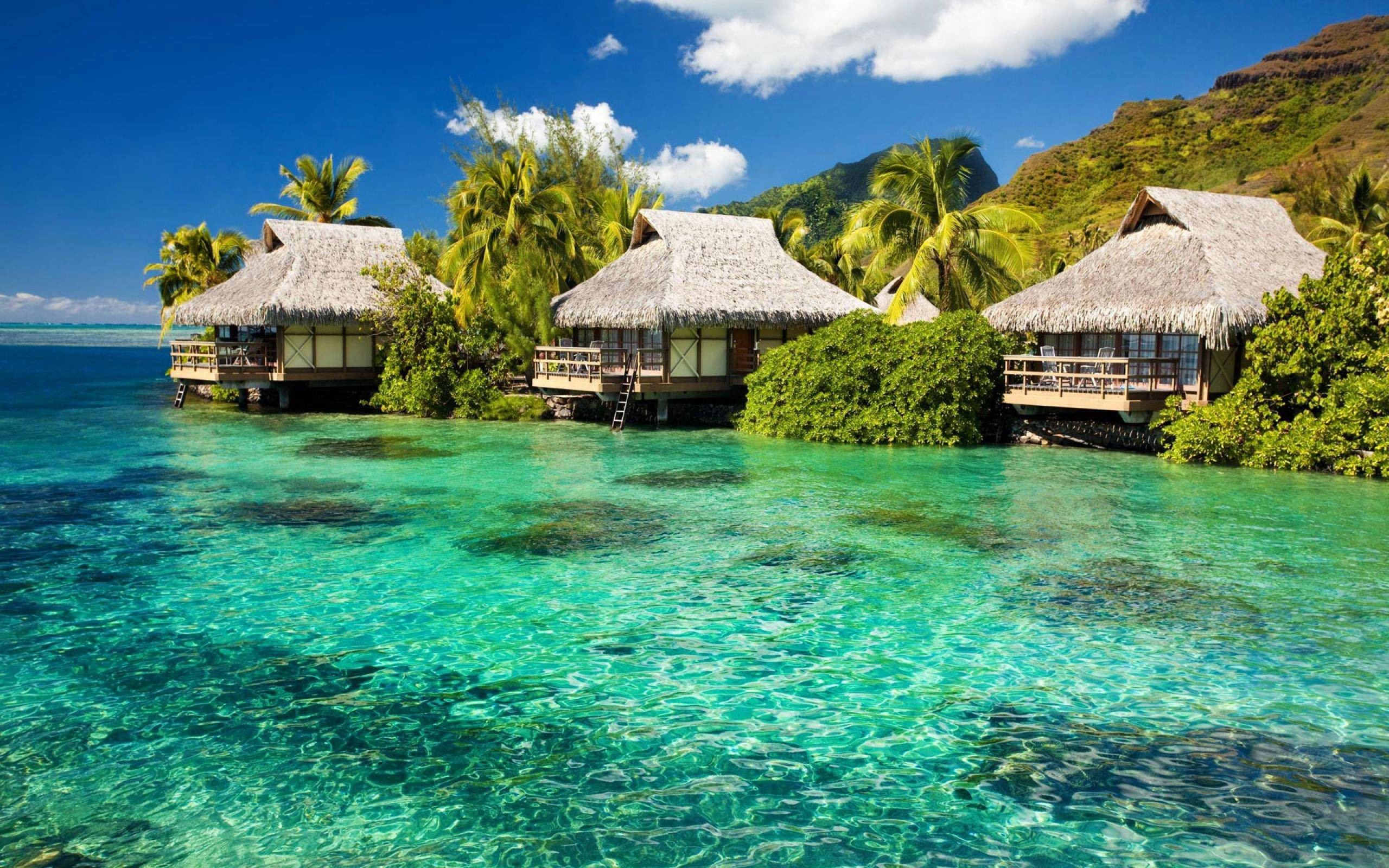 2560x1600 Exotic Beach Bungalows Free Wallpaper with  Resolution .