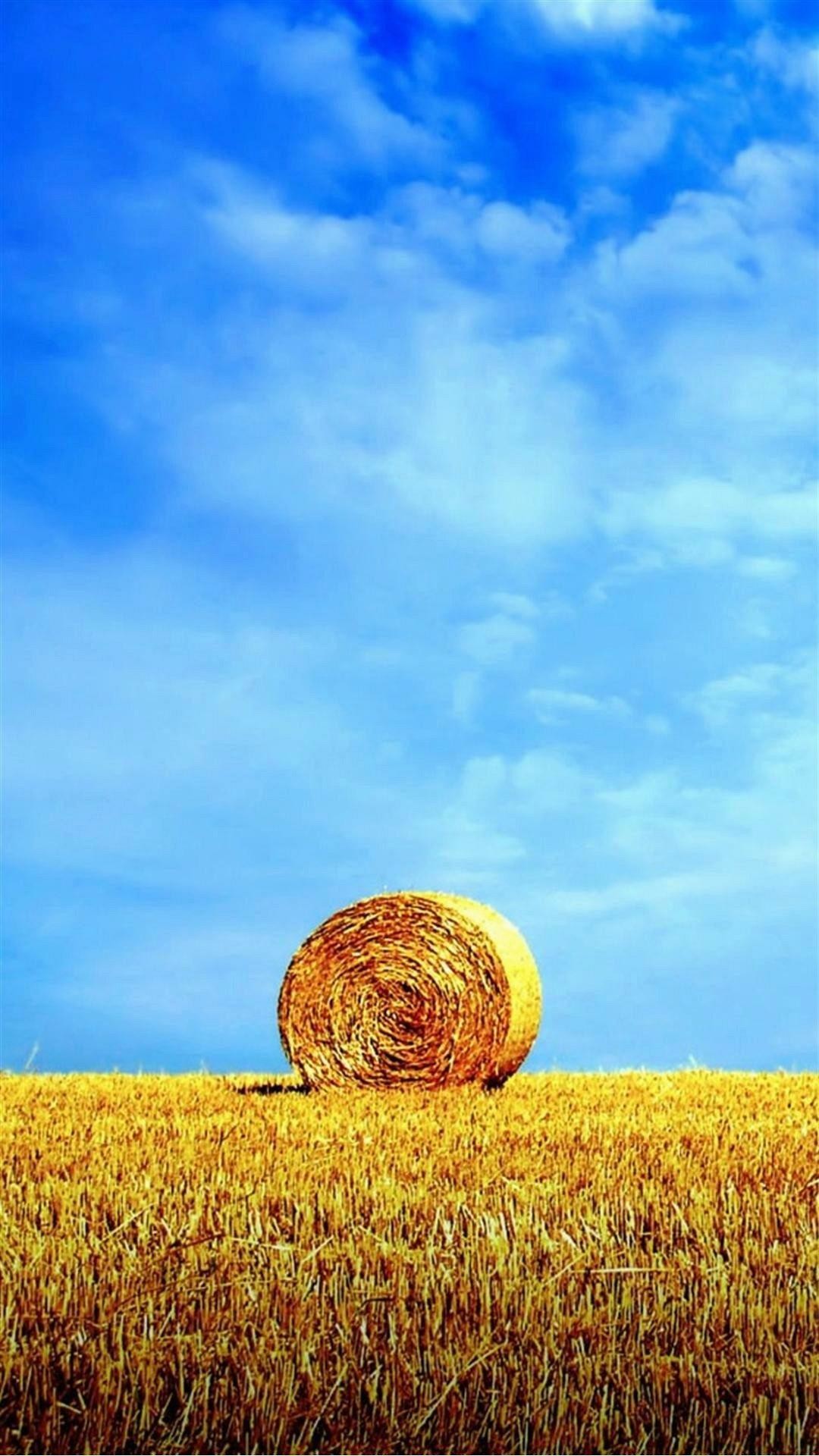 1080x1920 10 best Cool android hd wallpapers 1080 x 1920-full-hd-bale-