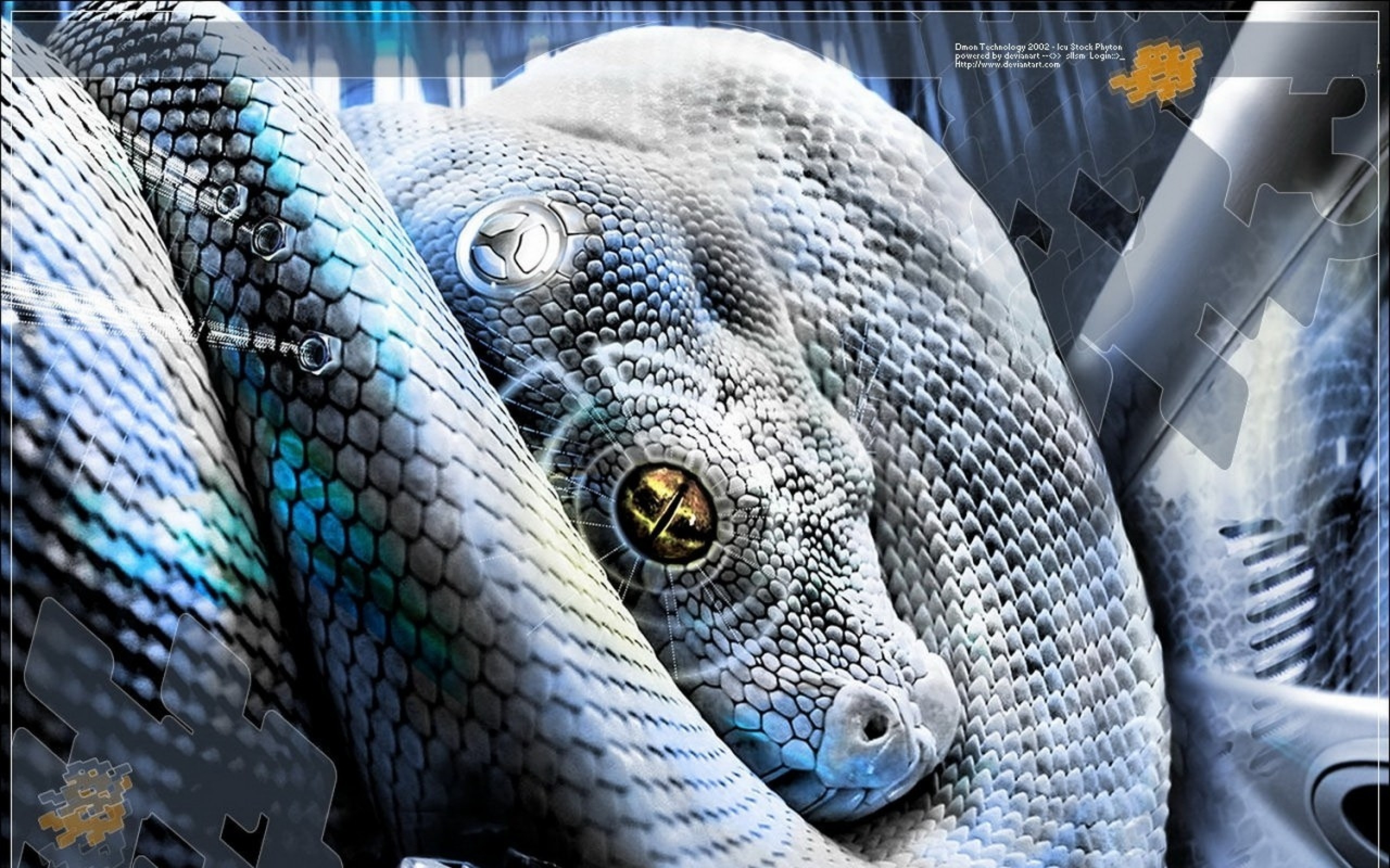 2560x1600 Animal - Snake Wallpaper