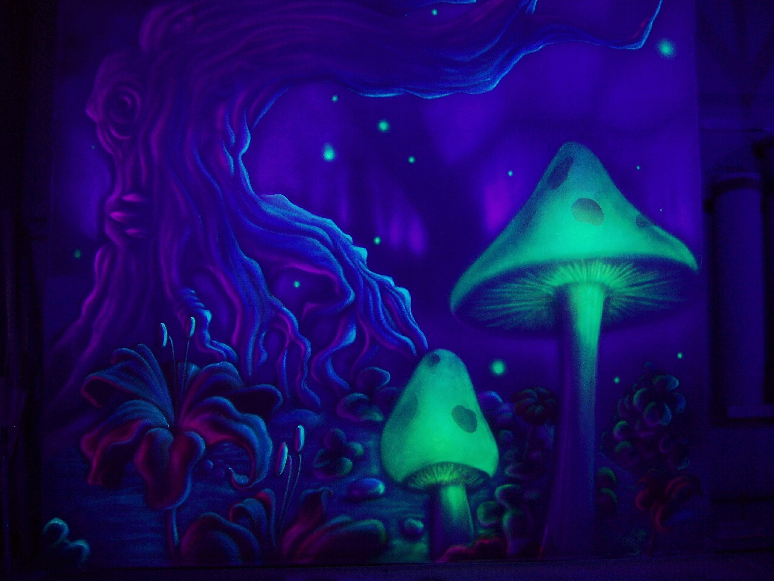 2560x1920 Trippy Mushroom Wallpaper