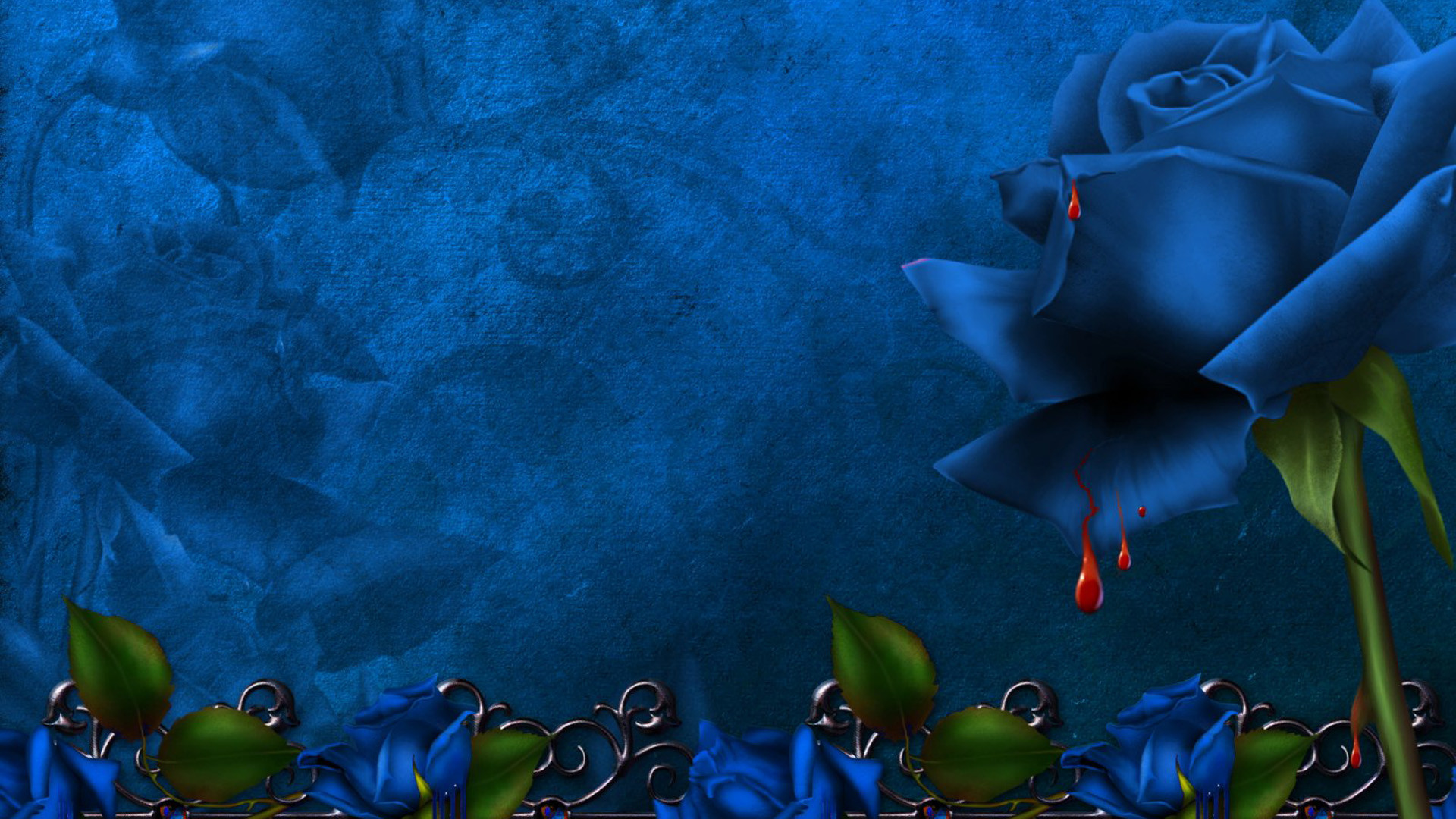 1920x1080 Adorable HDQ Backgrounds of Blue Roses, 