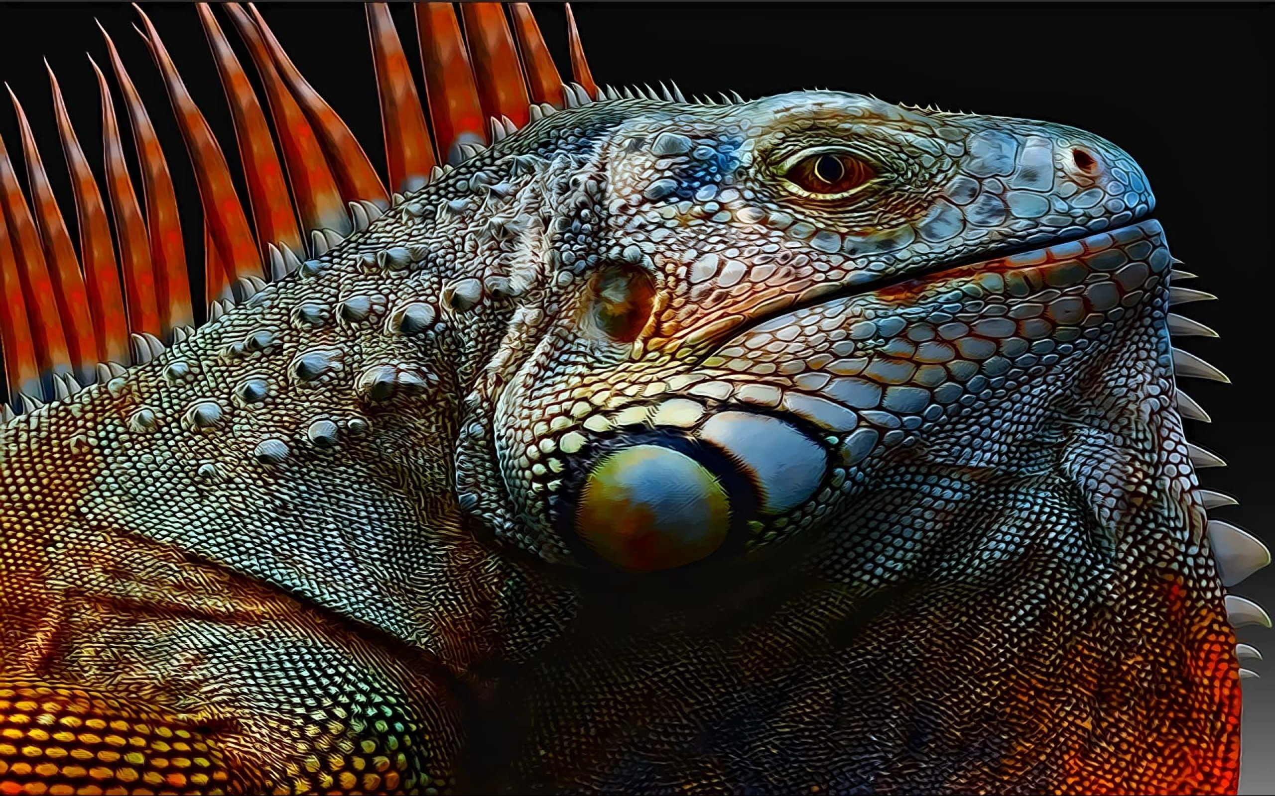 2560x1600 Animal Iguana Reptiles Lizards HD Wallpaper - HD Wallpapers