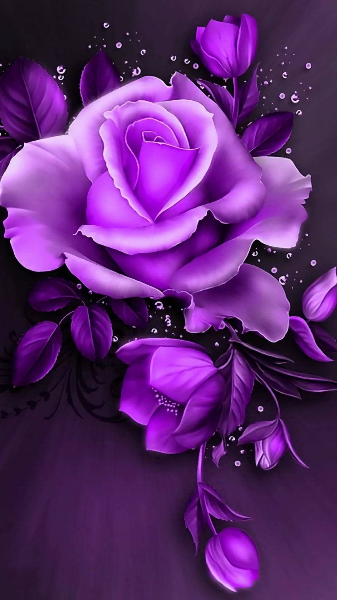 1080x1920 1920x1080 Beautiful Pink Rose Wallpapers Images