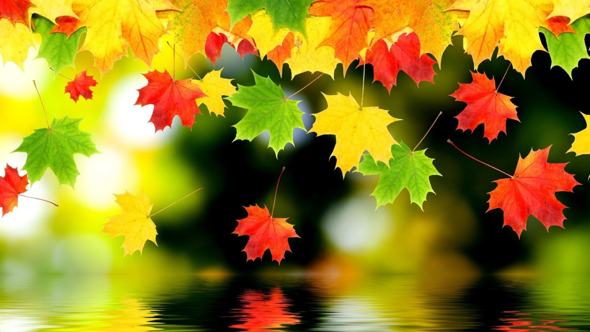 1920x1080 #668800 Color - Foliage Autumn Water Fall Nature Backgrounds Iphone 6 for  HD 16: