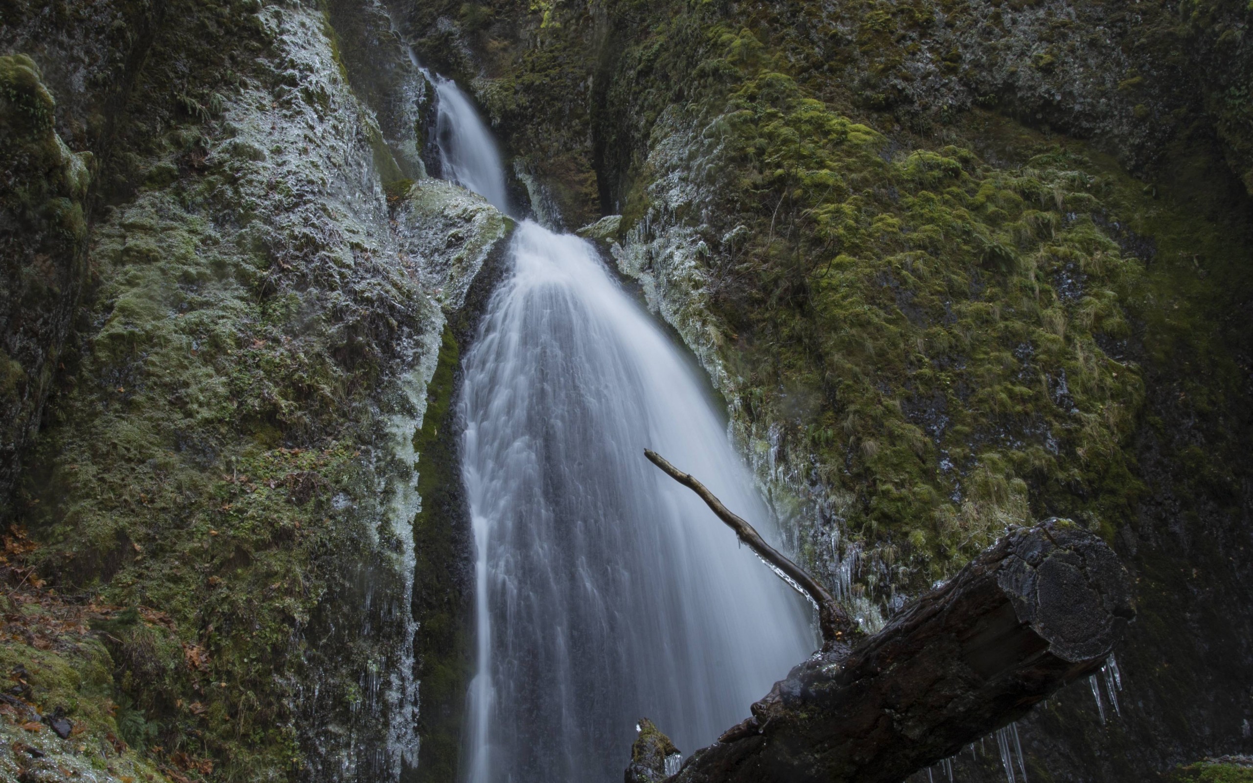 2560x1600 Wahkeena Falls Surrounded By Ice As A Storm Rolls Into Oregon Wallpaper
