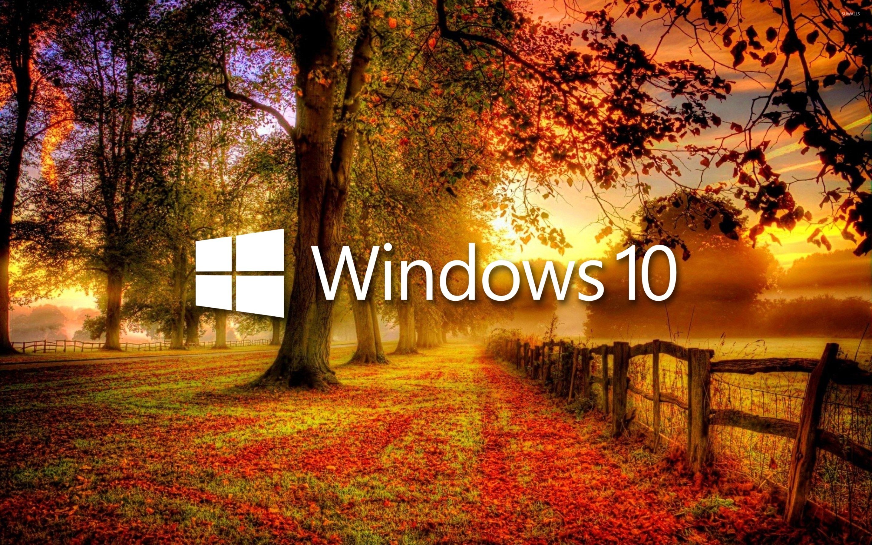 2880x1800 Windows 10 in the fall white text logo wallpaper