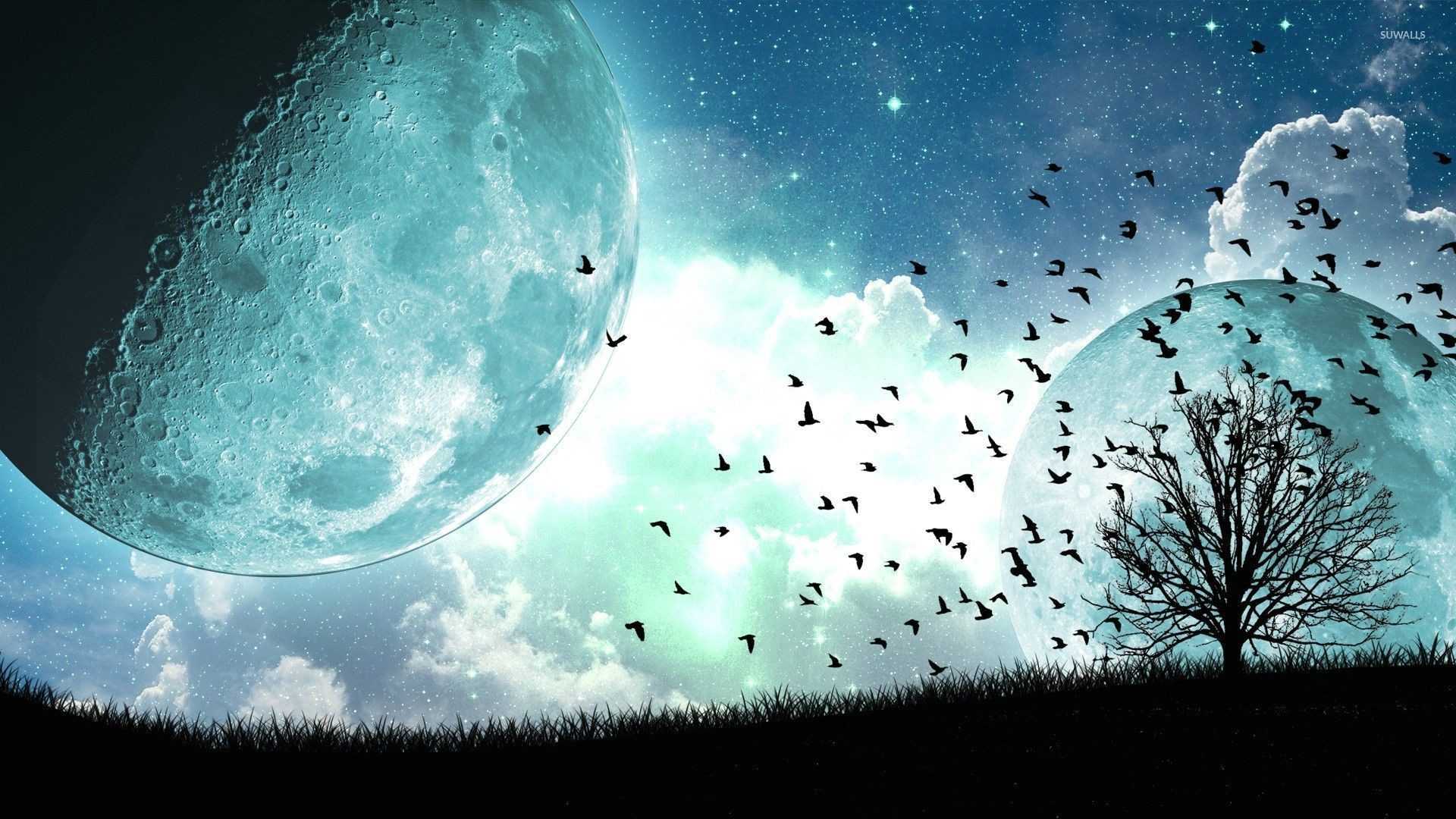 1920x1080 Birds and tree under the blue moon wallpaper