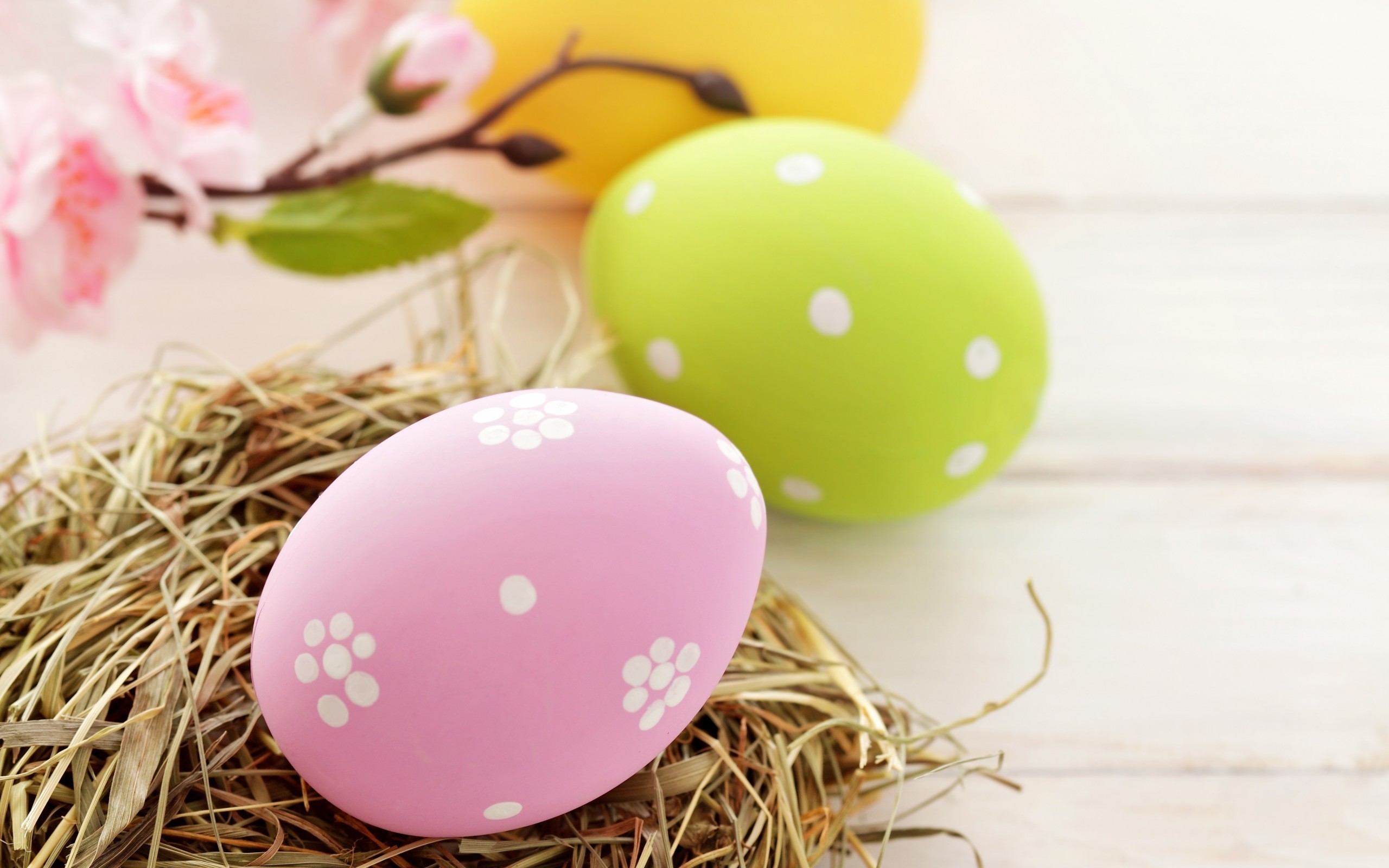 2560x1600 Eggs Easter pink yellow green spring holiday wallpaper |  | 51813  | WallpaperUP