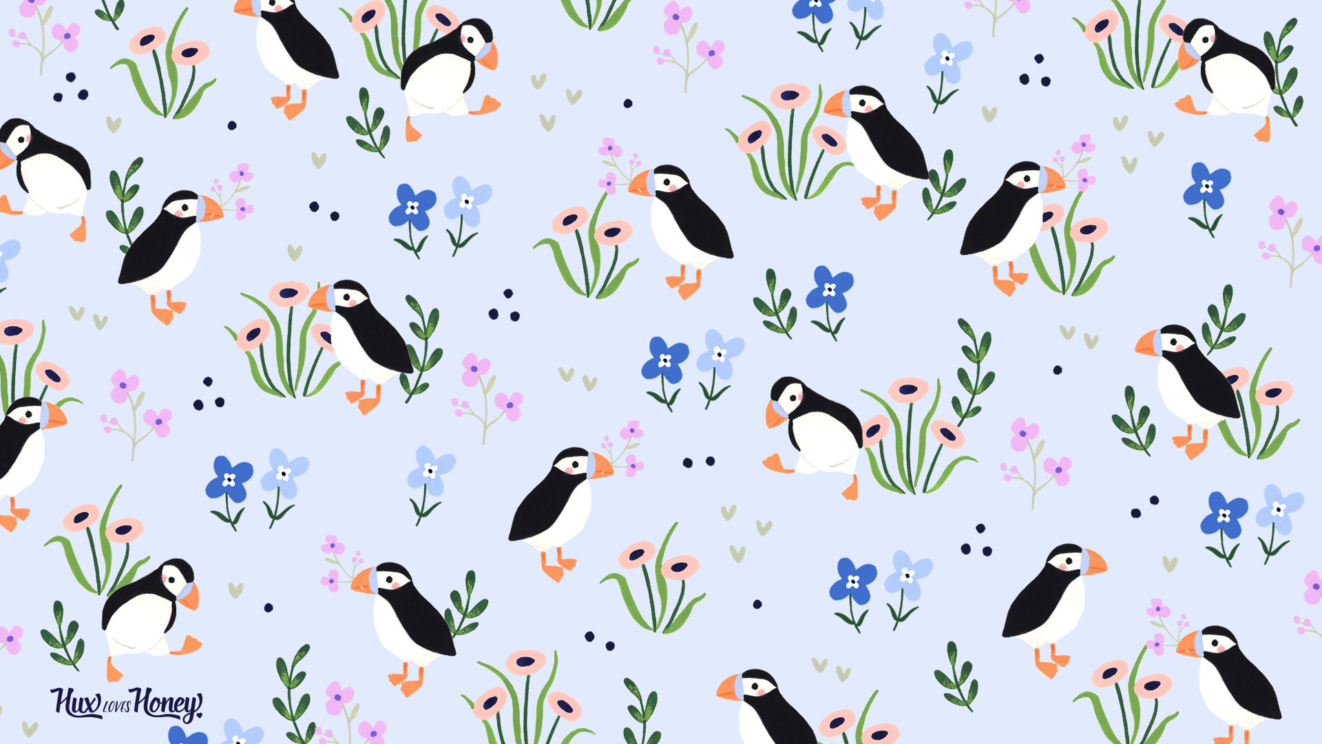 1920x1080 Download Puffin Wallpaper here