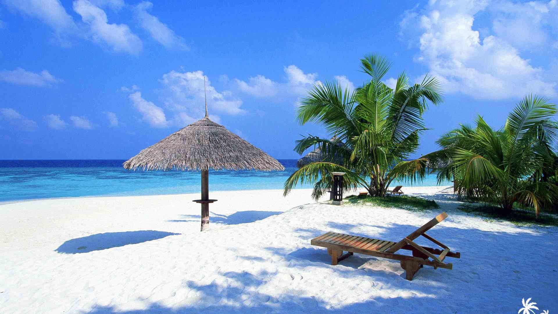 1920x1080 A Beach With Palms and a Lounger