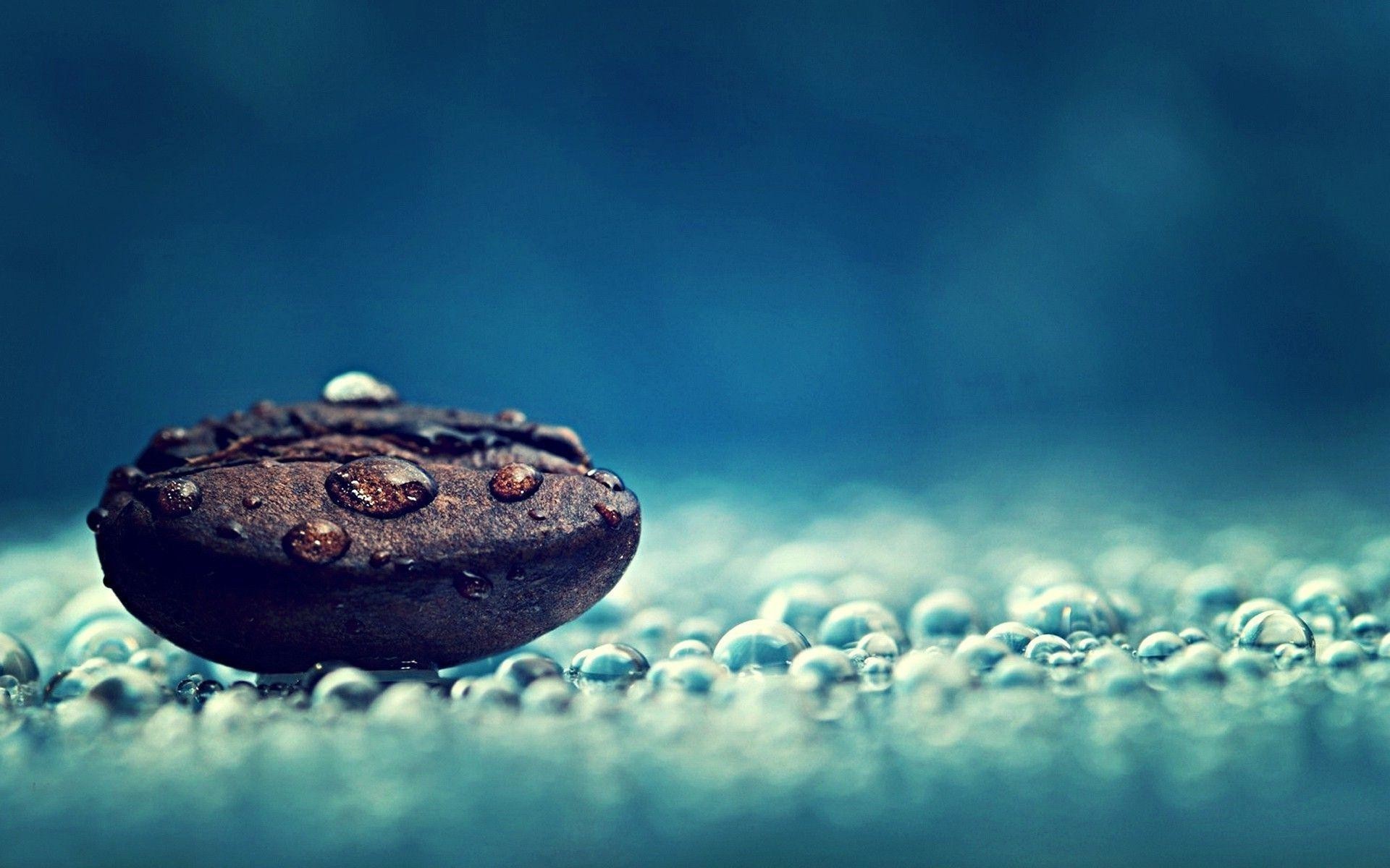 1920x1200 water-drops-on-a-coffee-bean- .