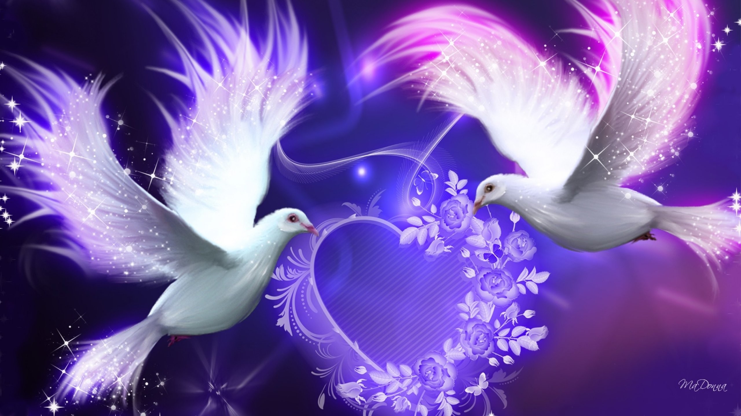 2560x1440 nature animals birds wallpapers hd desktop and mobile backgrounds; purple  doves 653300 walldevil ...