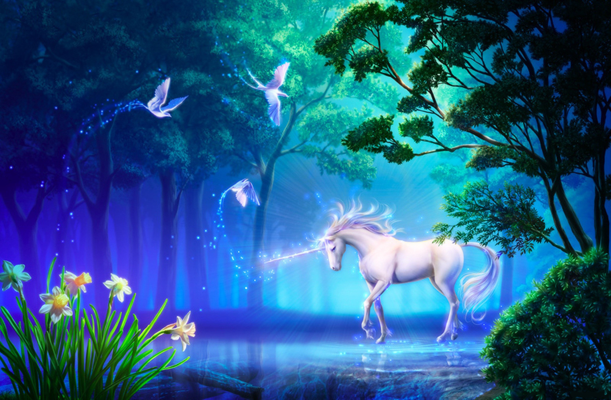 2000x1310 HD Wallpaper | Background ID:239474.  Fantasy Unicorn