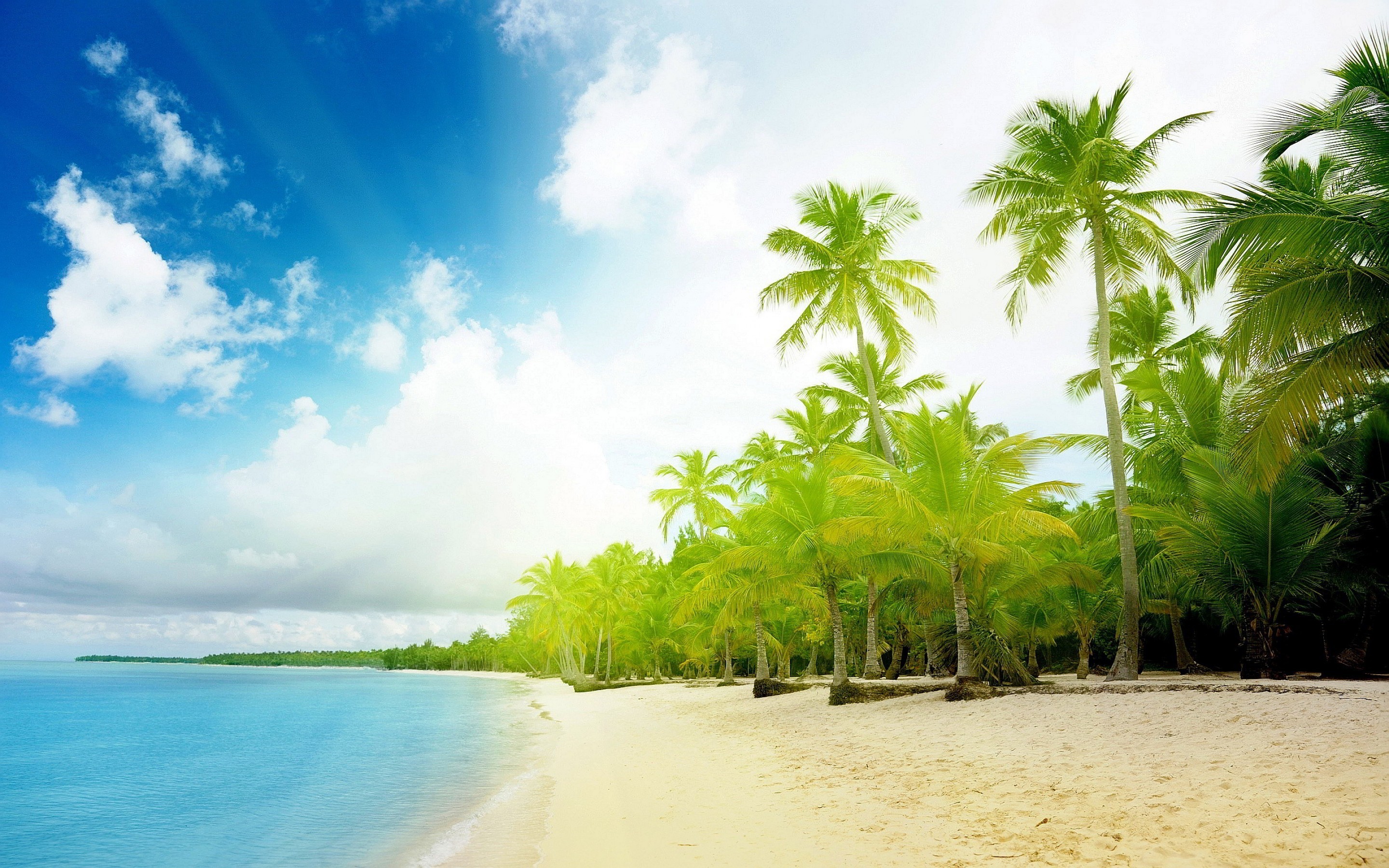2880x1800 Beach Tropical Palm Trees HD Wallpaper in High Resolution at Nature .