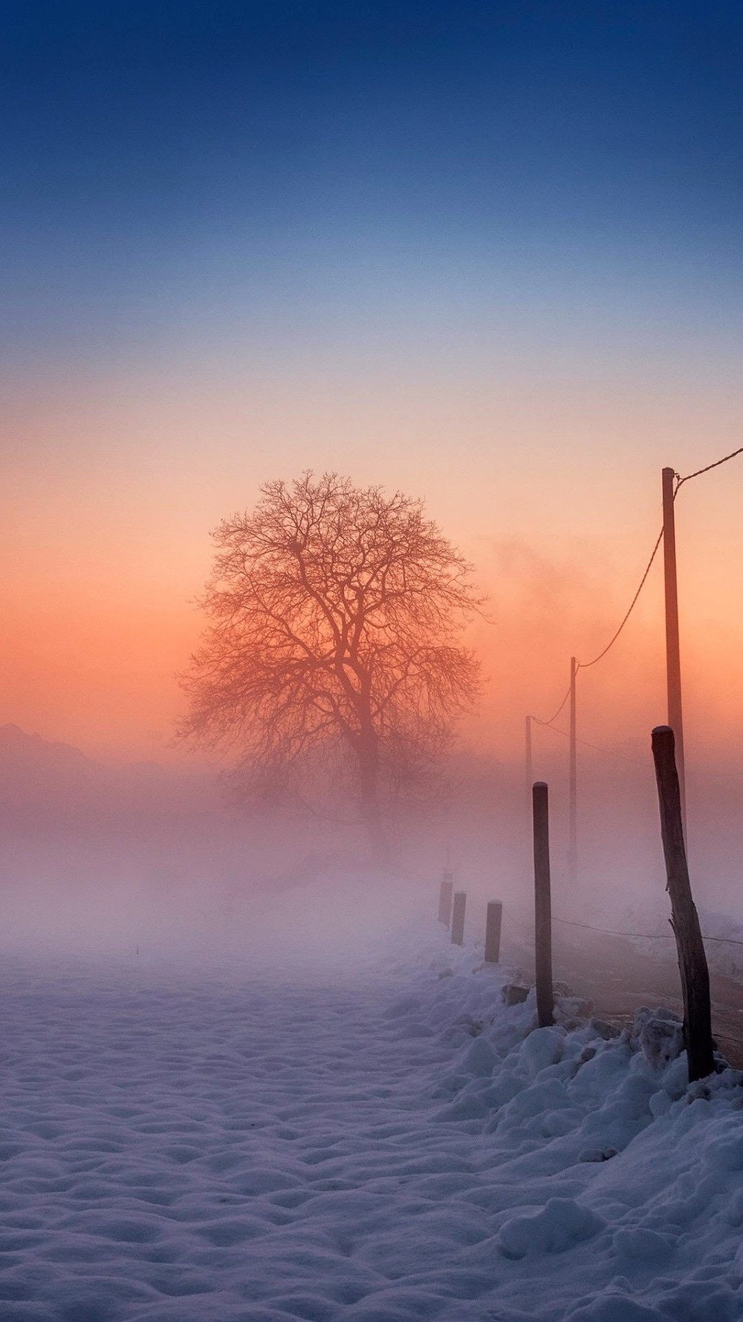 1080x1920 Winter Scene Fog Glow iPhone 8 wallpaper